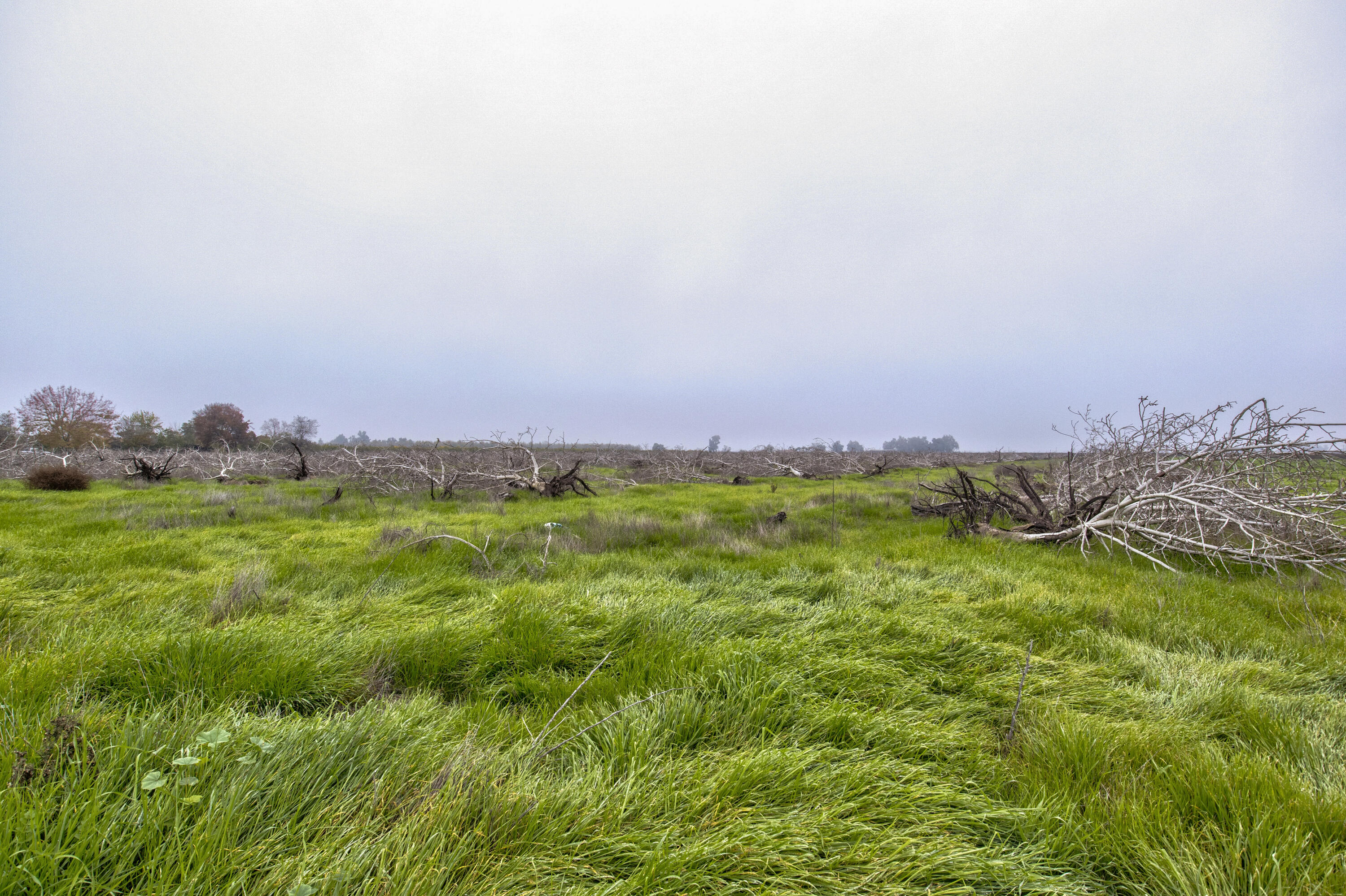 0 Road 208, Porterville, CA 93257