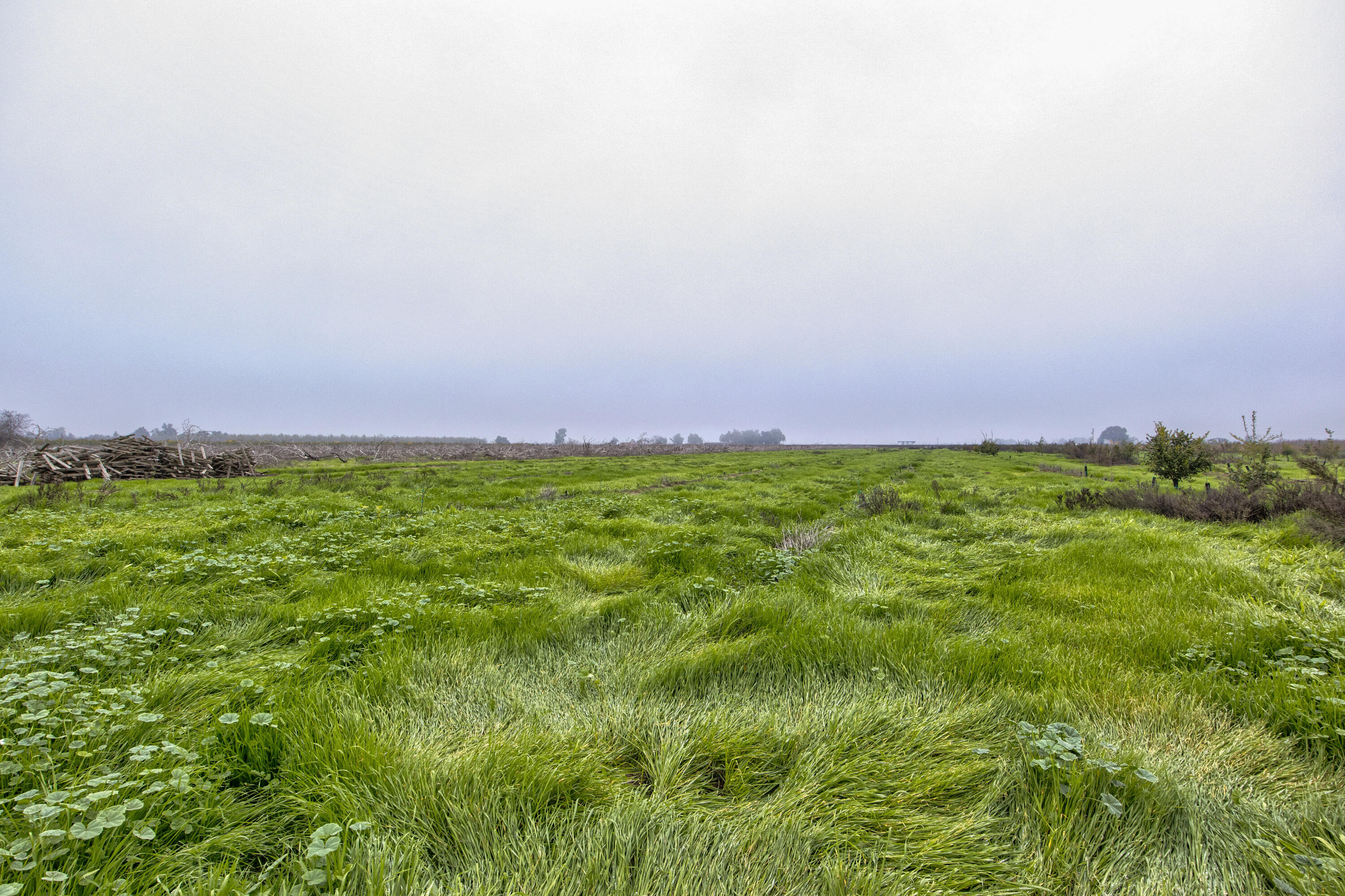 0 Road 208, Porterville, CA 93257