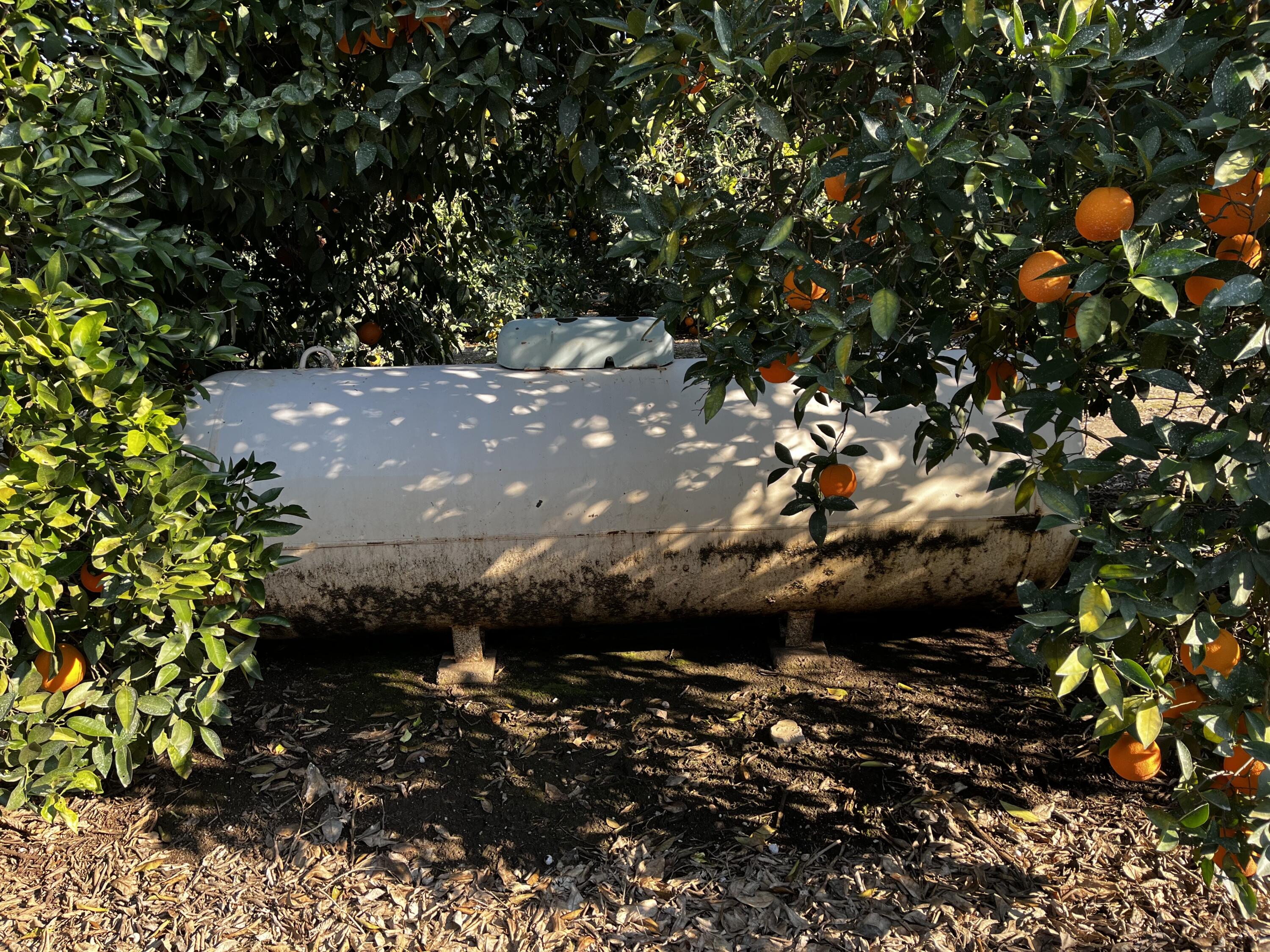 42554 N Rd 128, Orosi, CA 93647