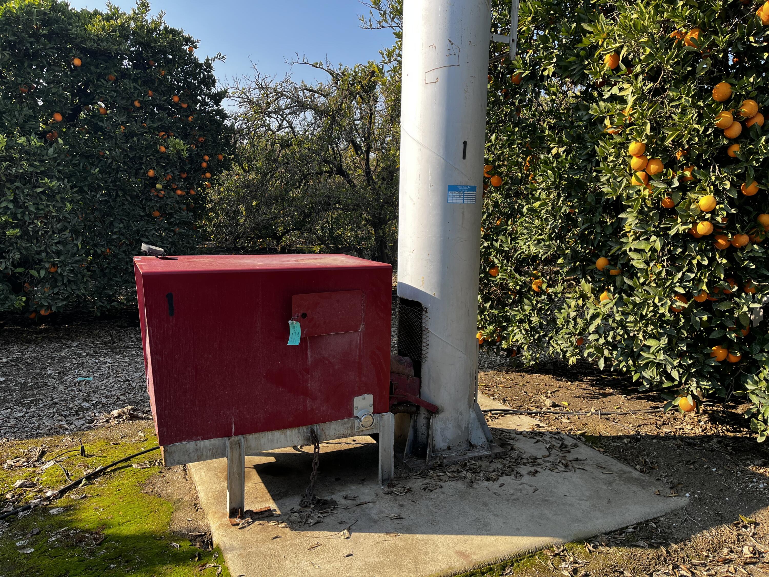 42554 N Rd 128, Orosi, CA 93647