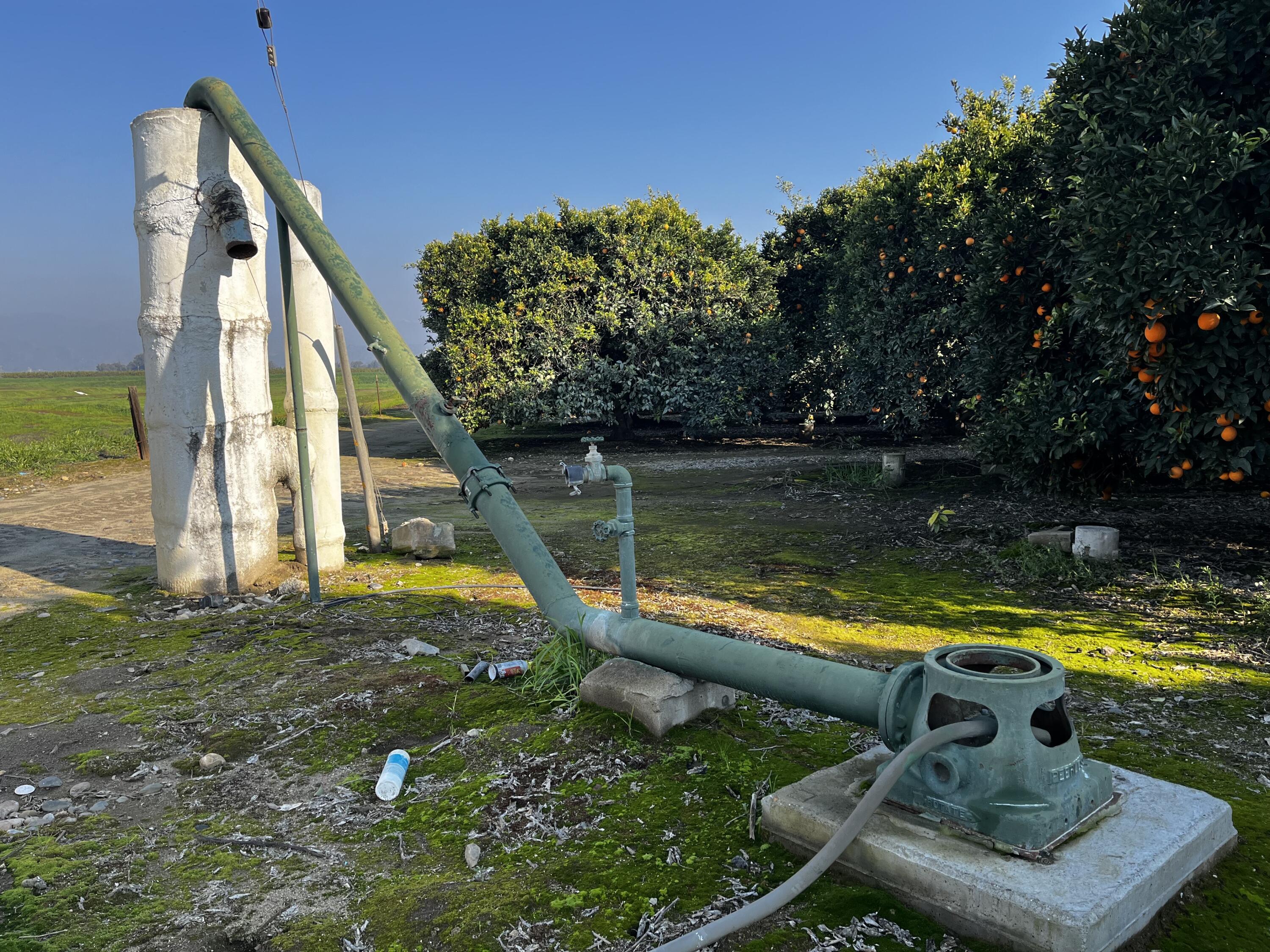 42554 N Rd 128, Orosi, CA 93647