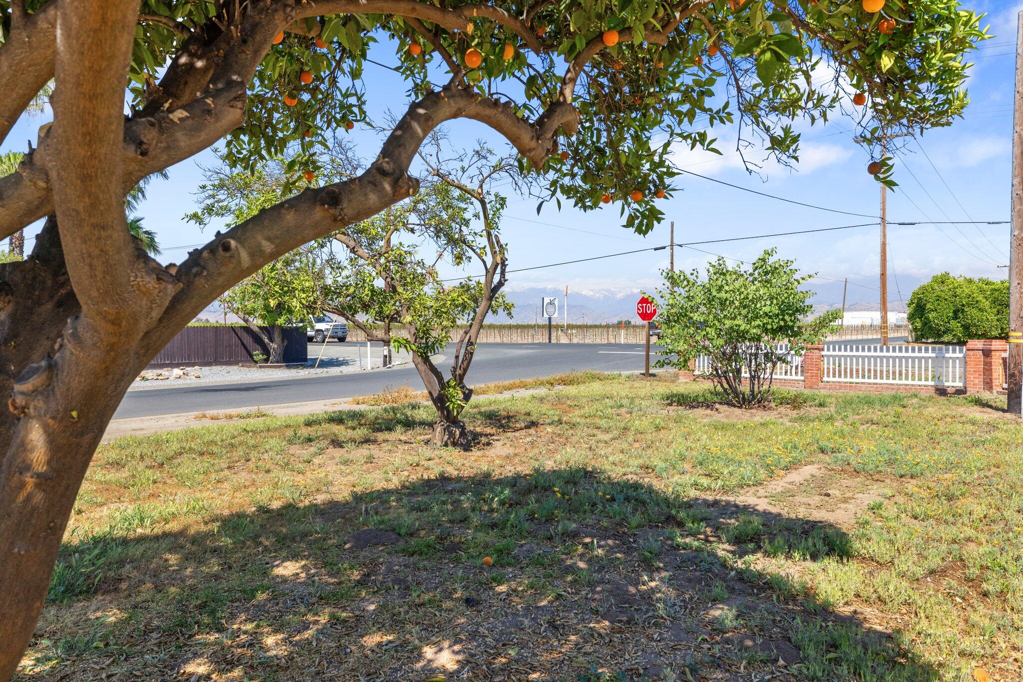 29979 Rd 196, Exeter, CA 93221