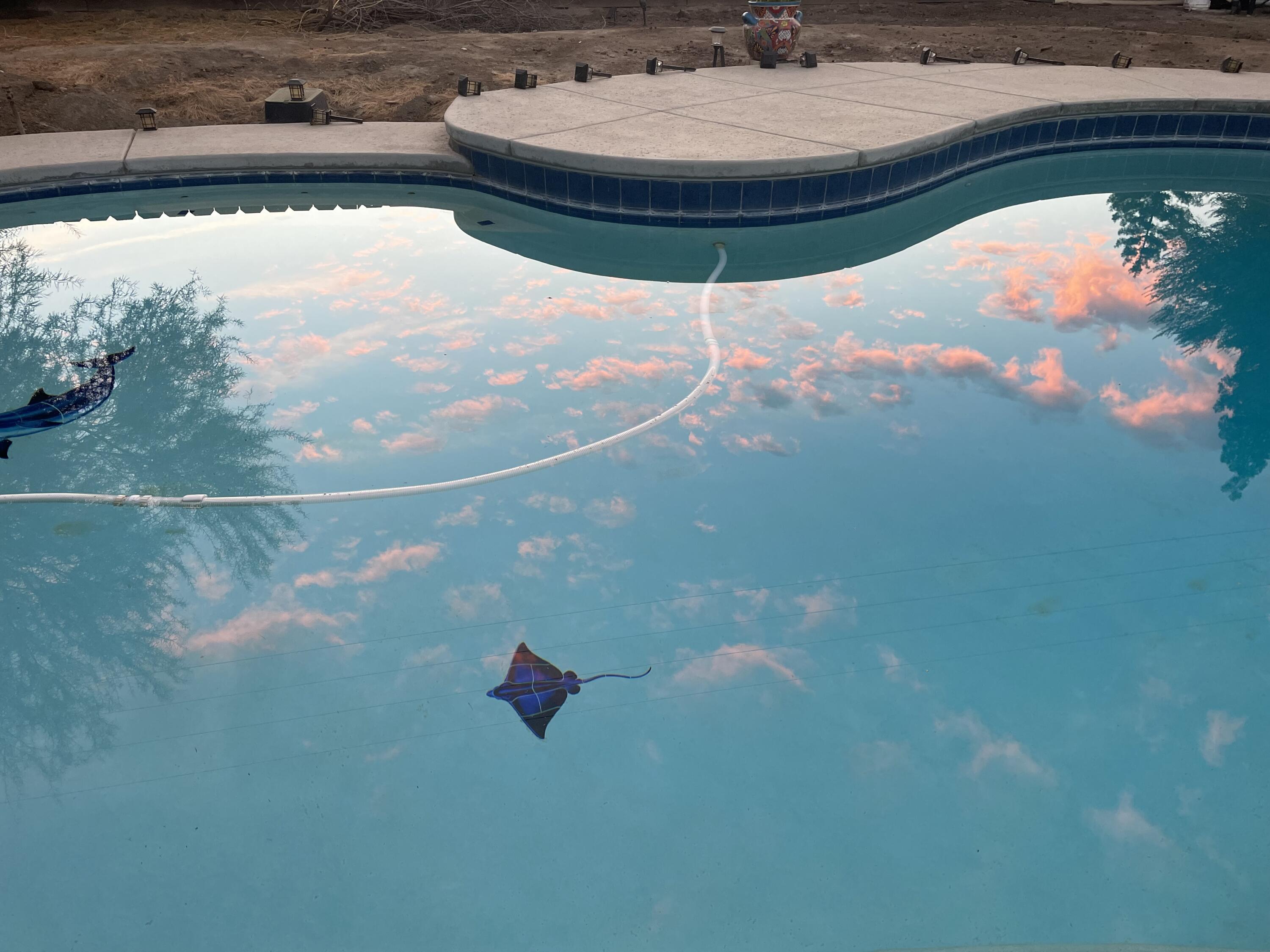 3345 S Jackie St, Visalia, CA 93277