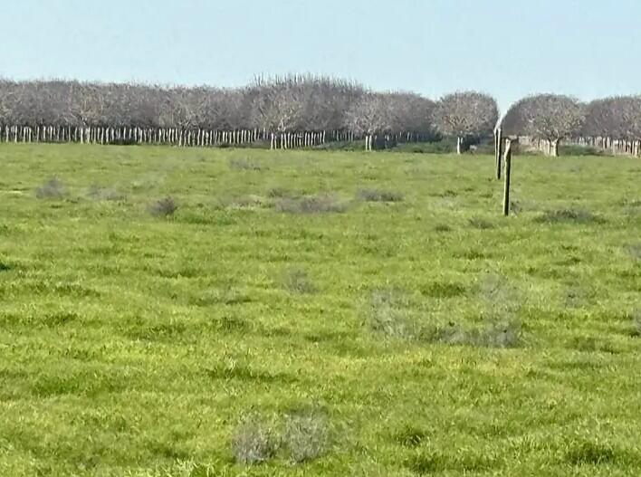 0 NW Canal, Alpaugh, CA 93201