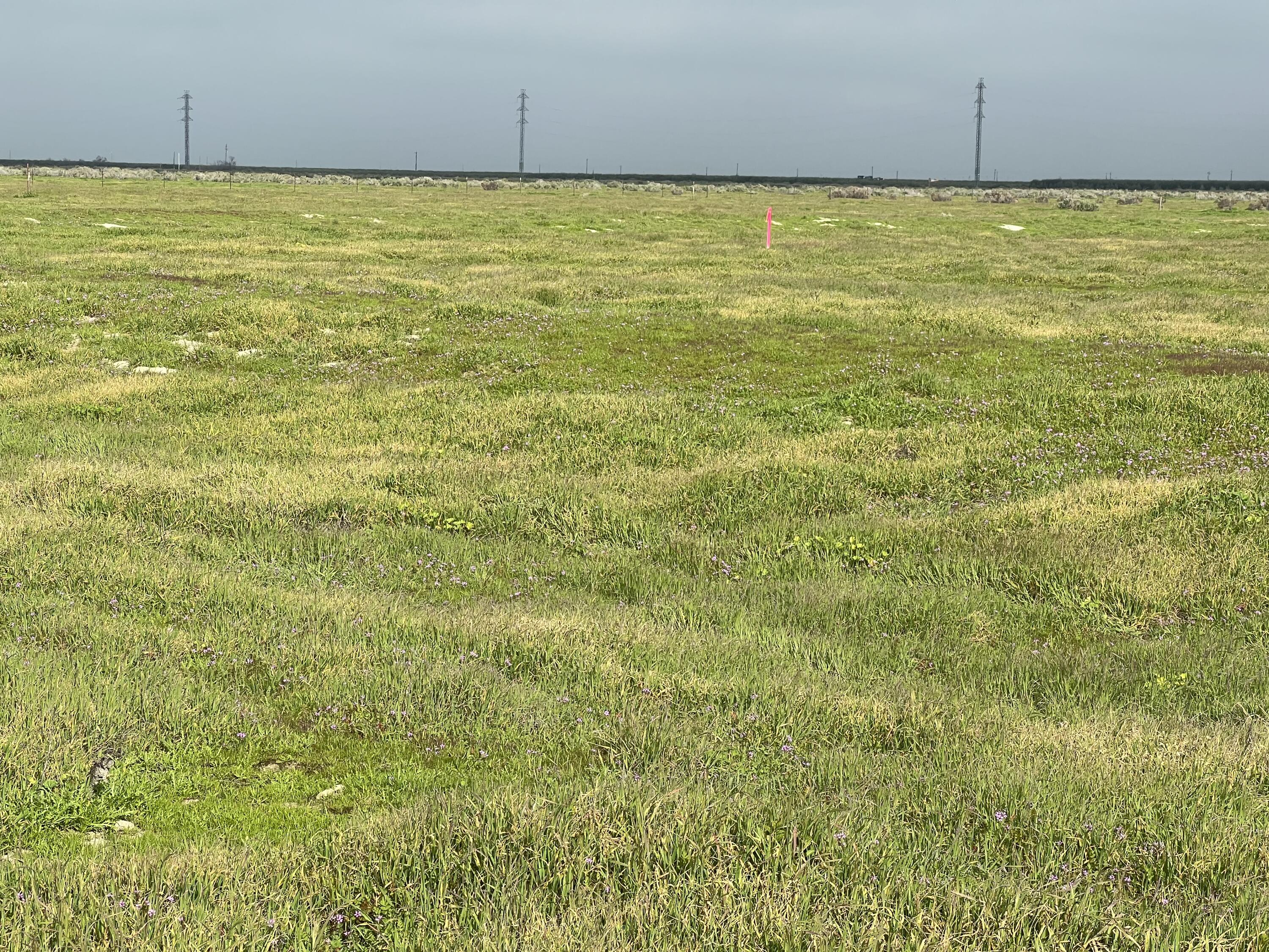 Lot #163 Track #1226, Wasco, CA 93280