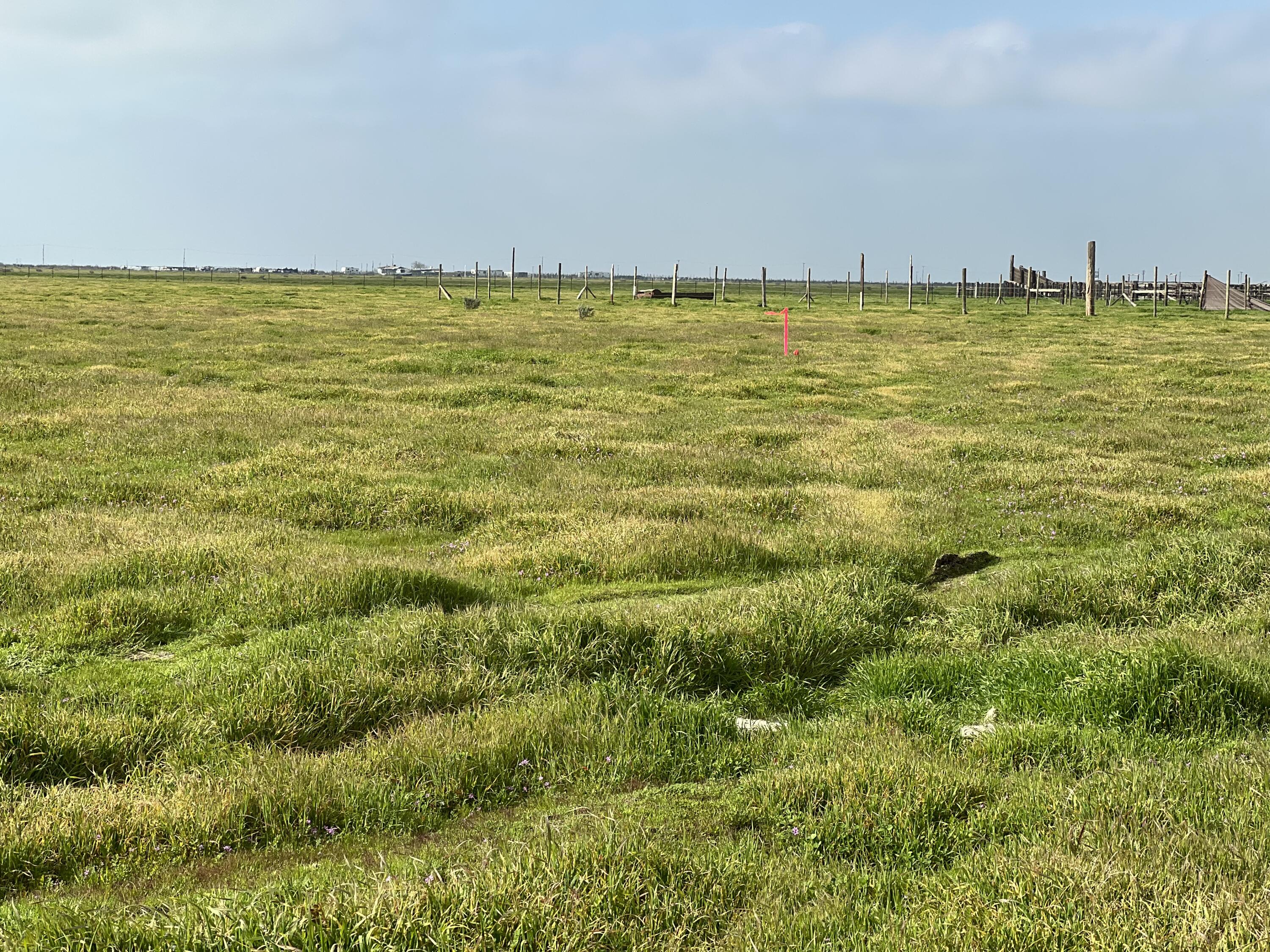 Lot #163 Track #1226, Wasco, CA 93280