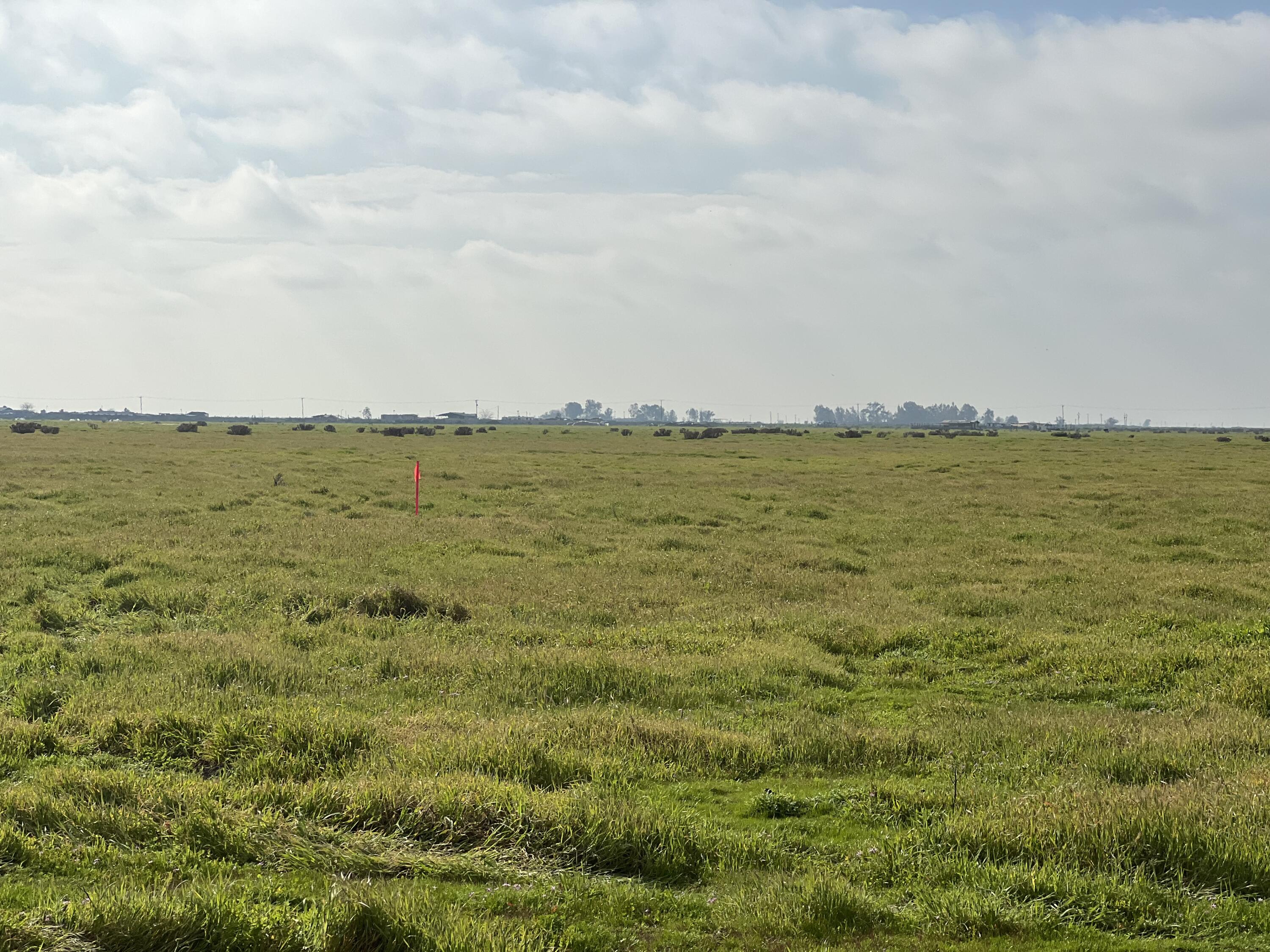 Lot #163 Track #1226, Wasco, CA 93280