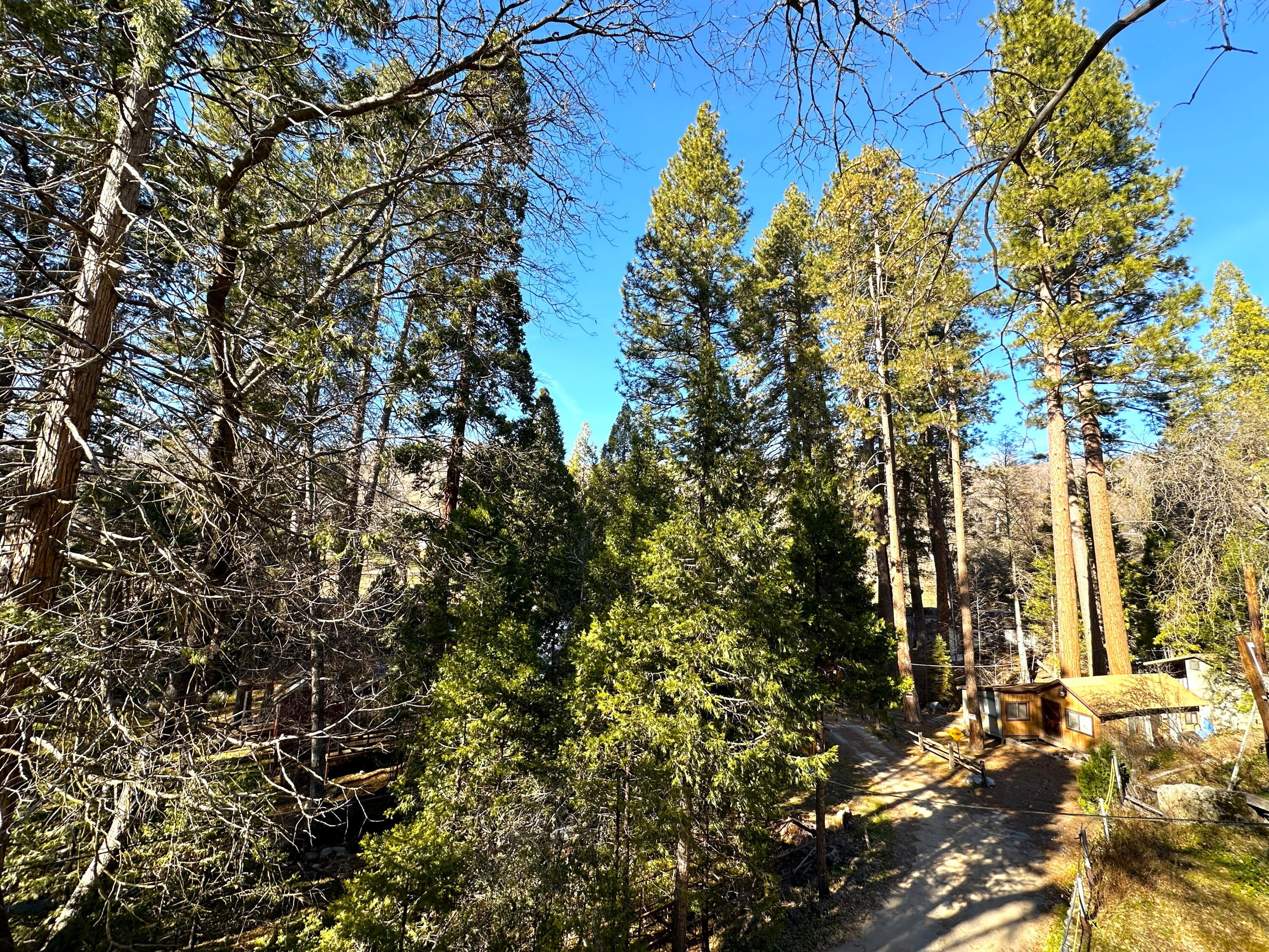 44133 Old Stage Rd #5, Posey, CA 93260