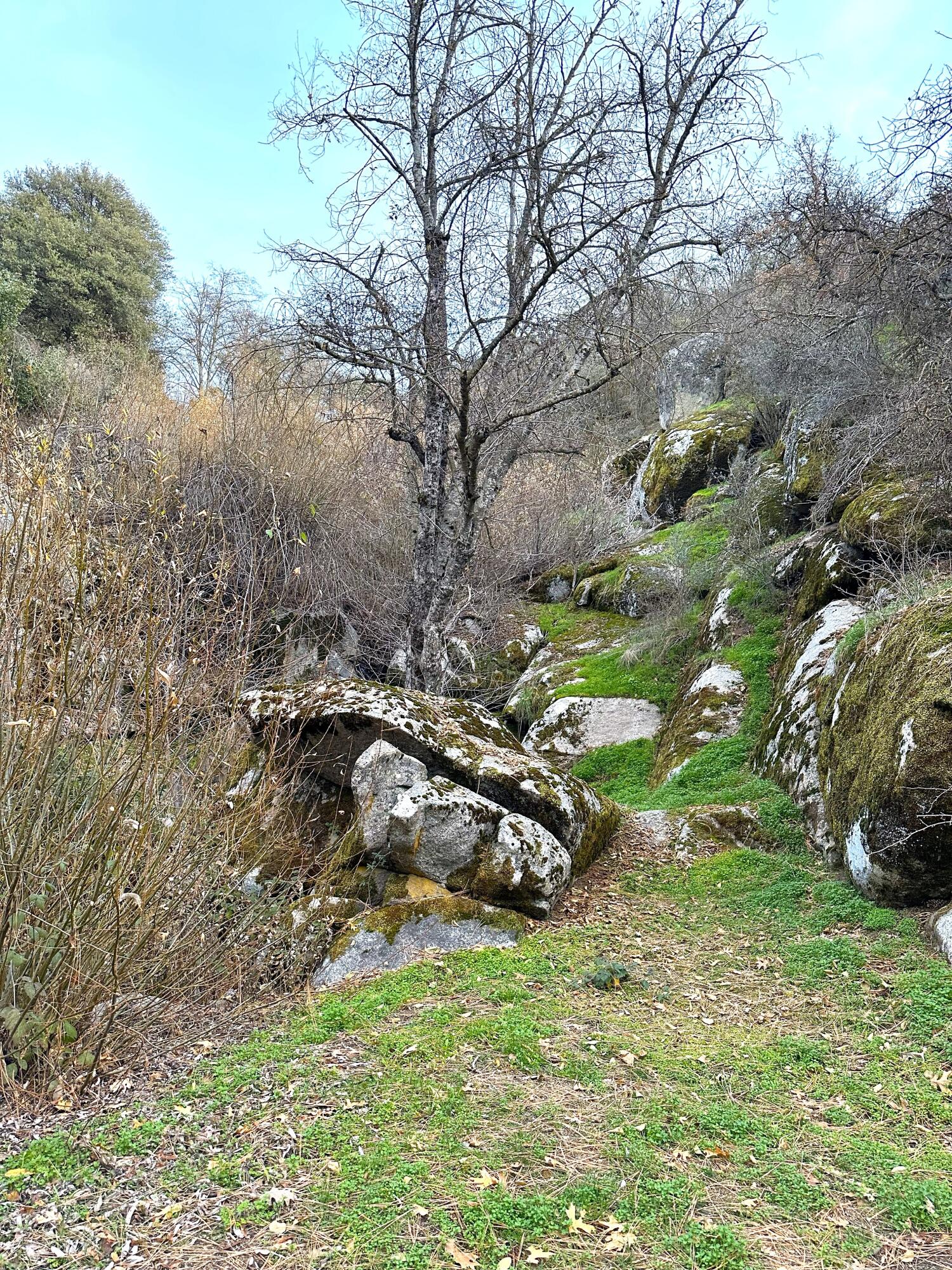 44133 Old Stage Rd #5, Posey, CA 93260