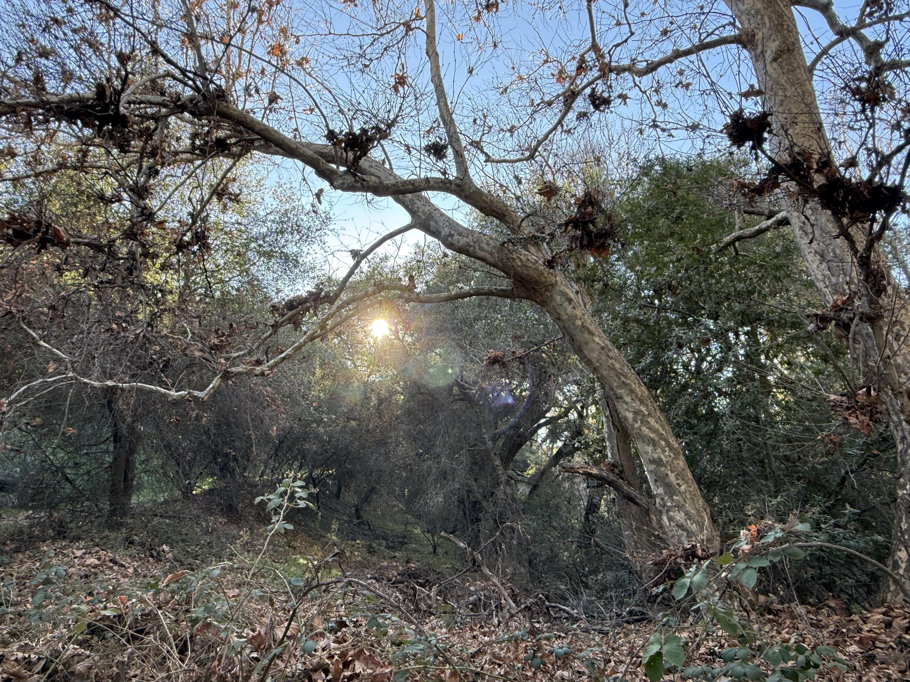 41505 Hot Springs Dr, California Hot Springs, CA 93207