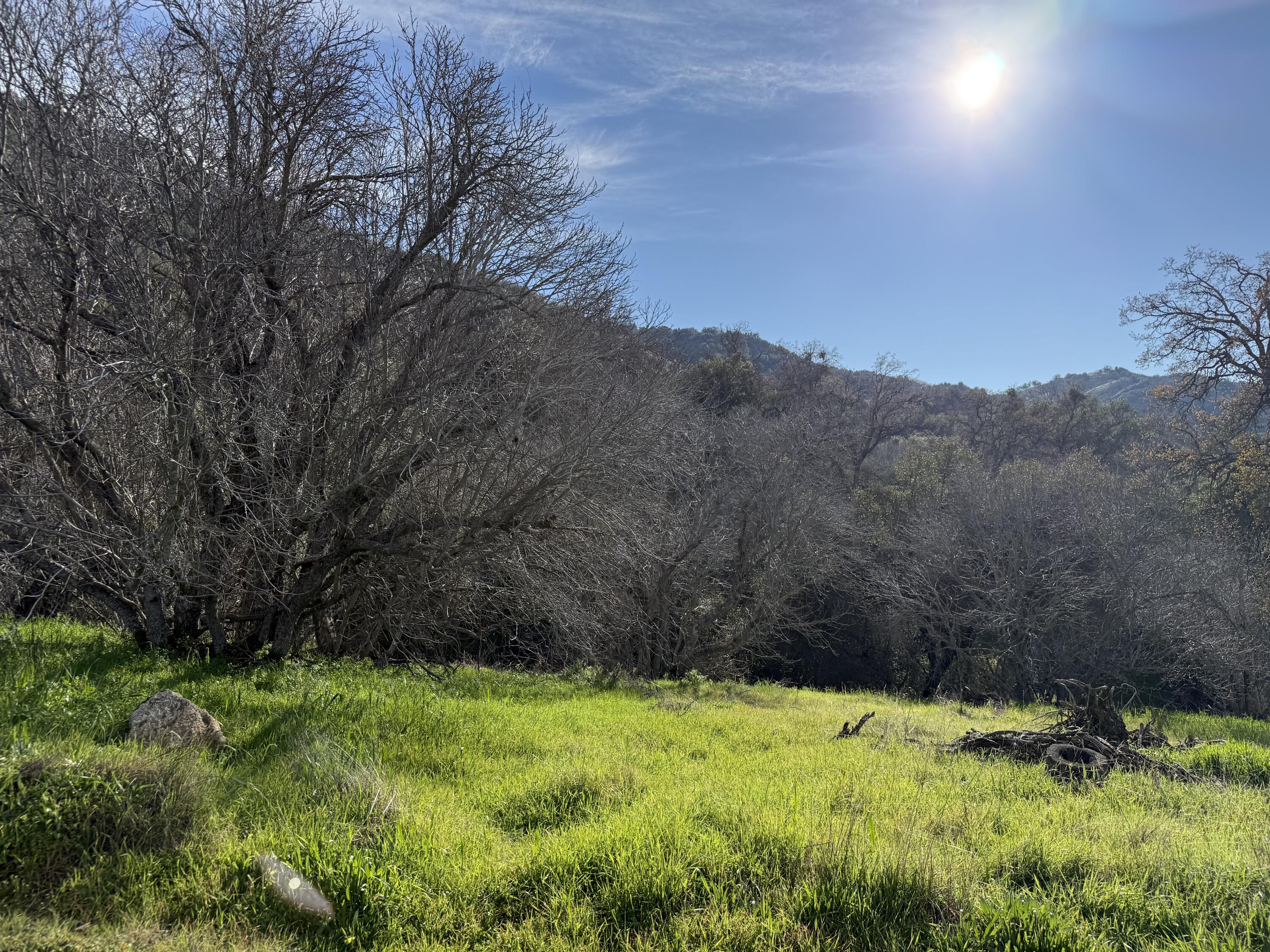 41505 Hot Springs Dr, California Hot Springs, CA 93207