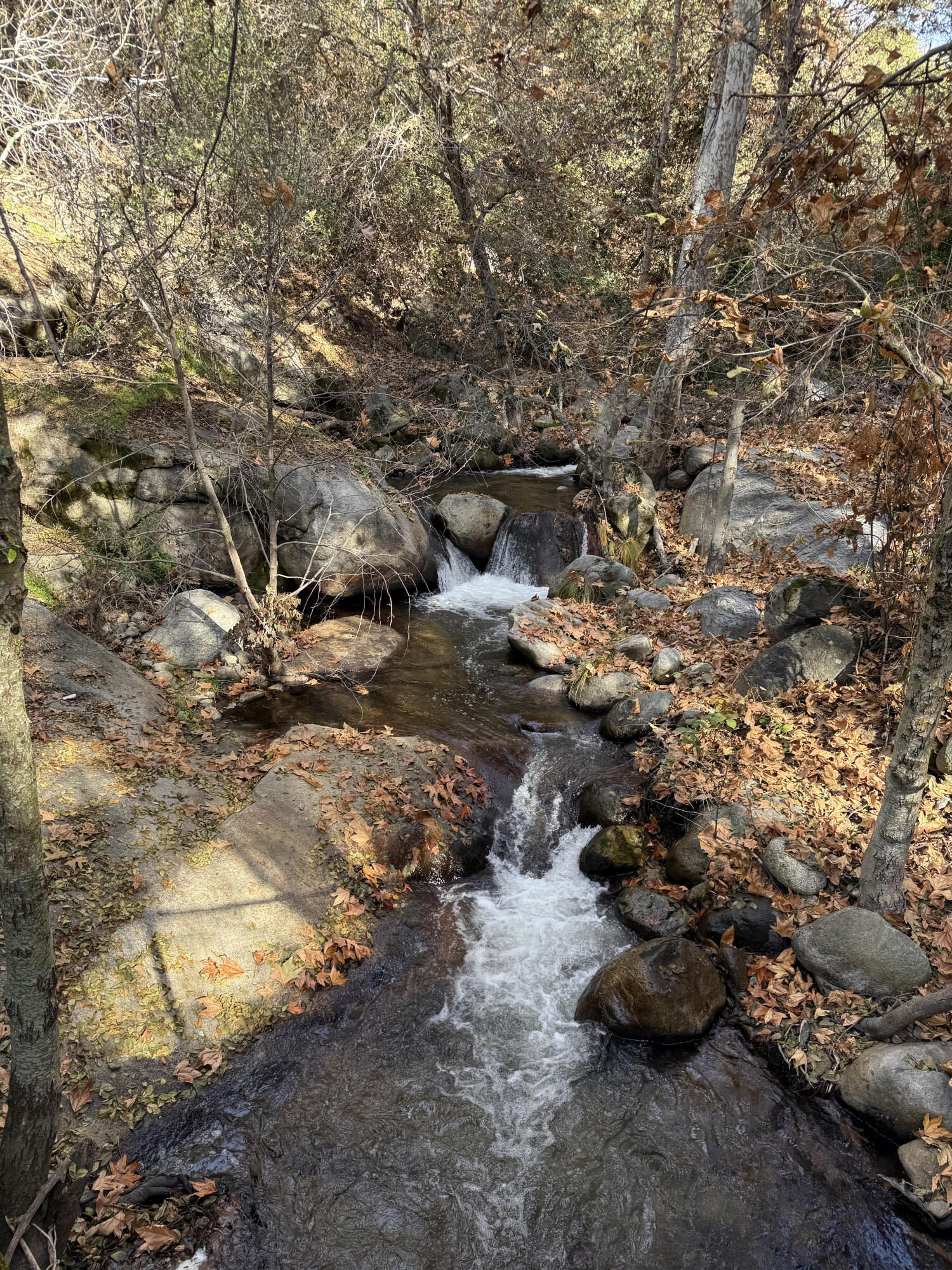 41505 Hot Springs Dr, California Hot Springs, CA 93207