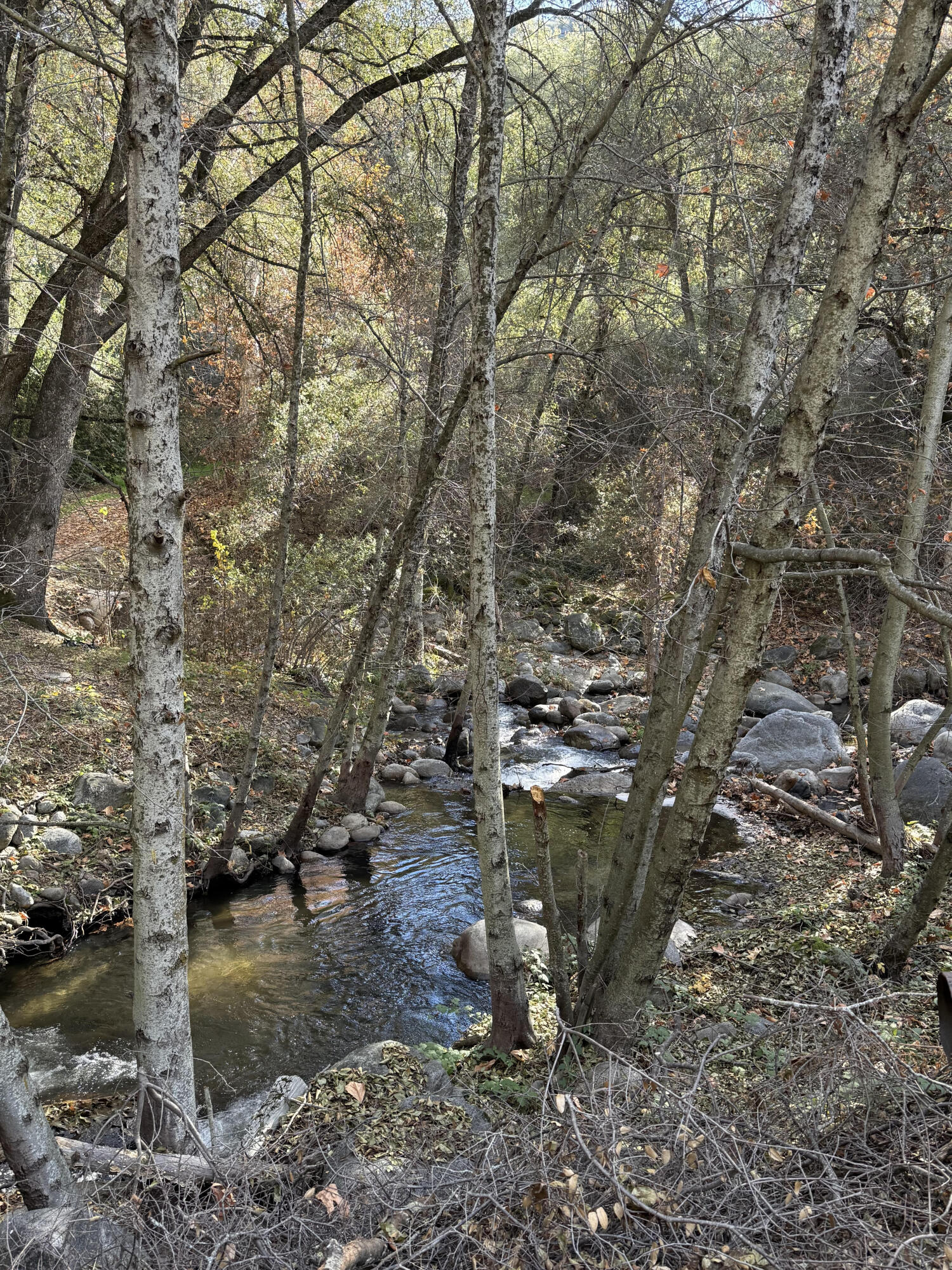 41505 Hot Springs Dr, California Hot Springs, CA 93207