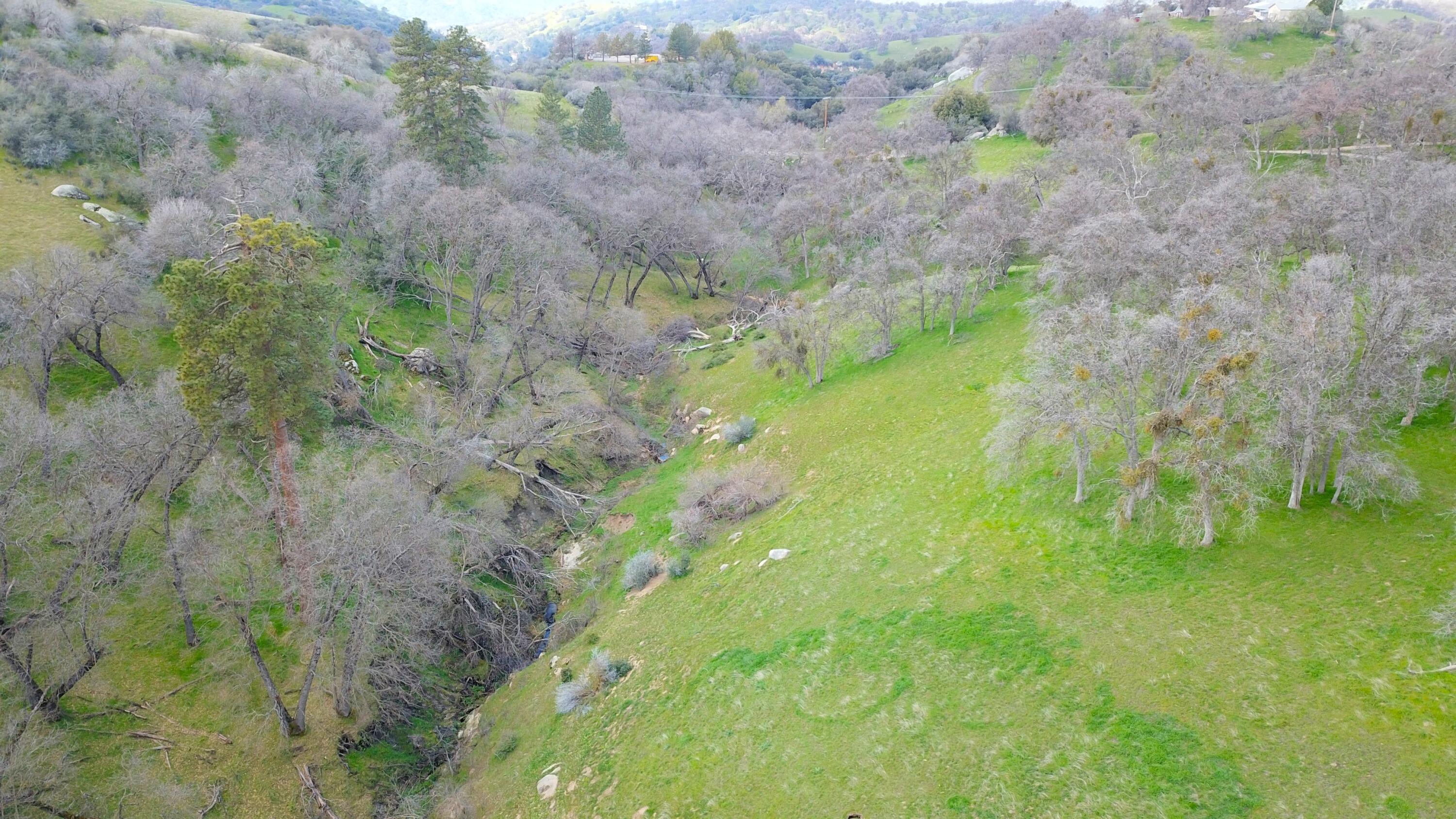 43717 Deer Creek Mill Rd, California Hot Springs, CA 93207