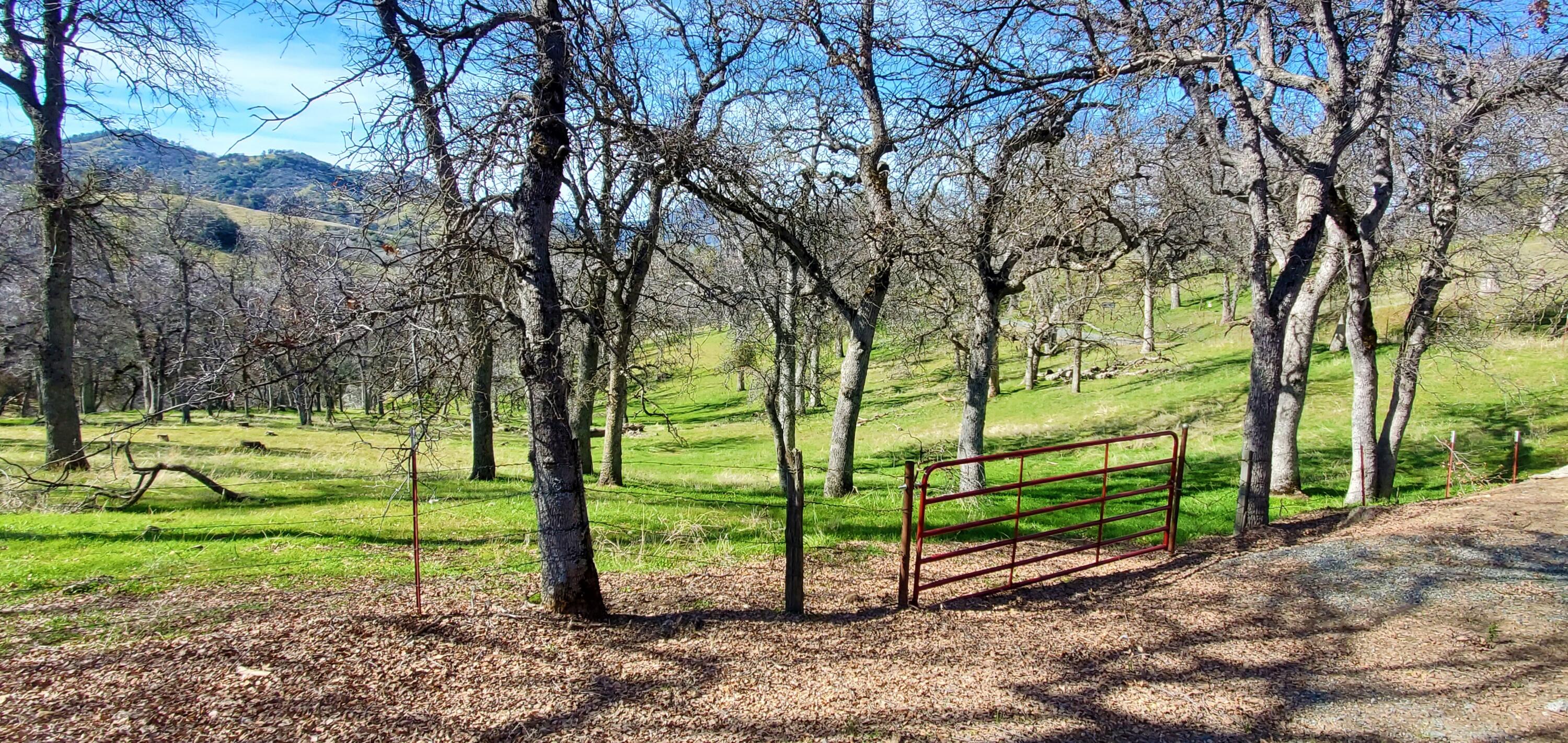 43717 Deer Creek Mill Rd, California Hot Springs, CA 93207