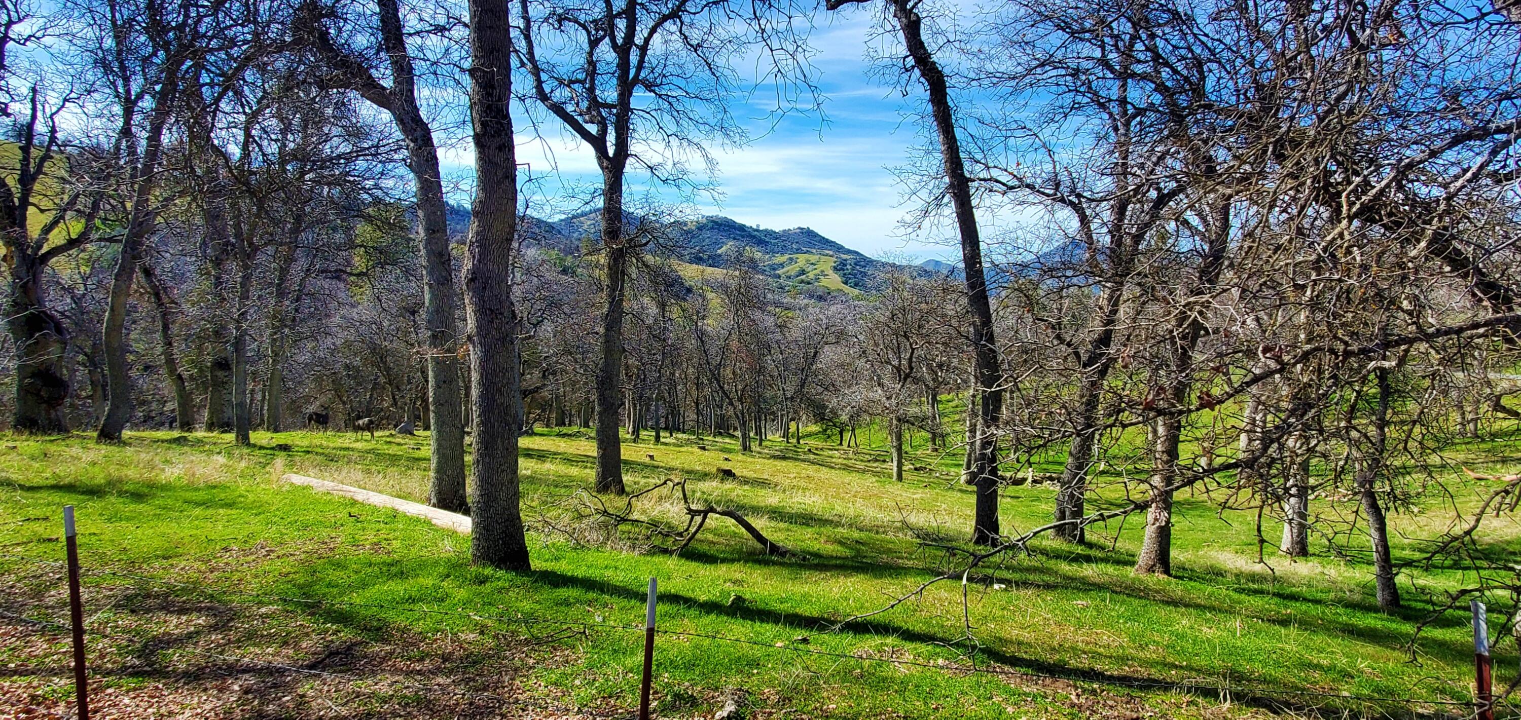 43717 Deer Creek Mill Rd, California Hot Springs, CA 93207