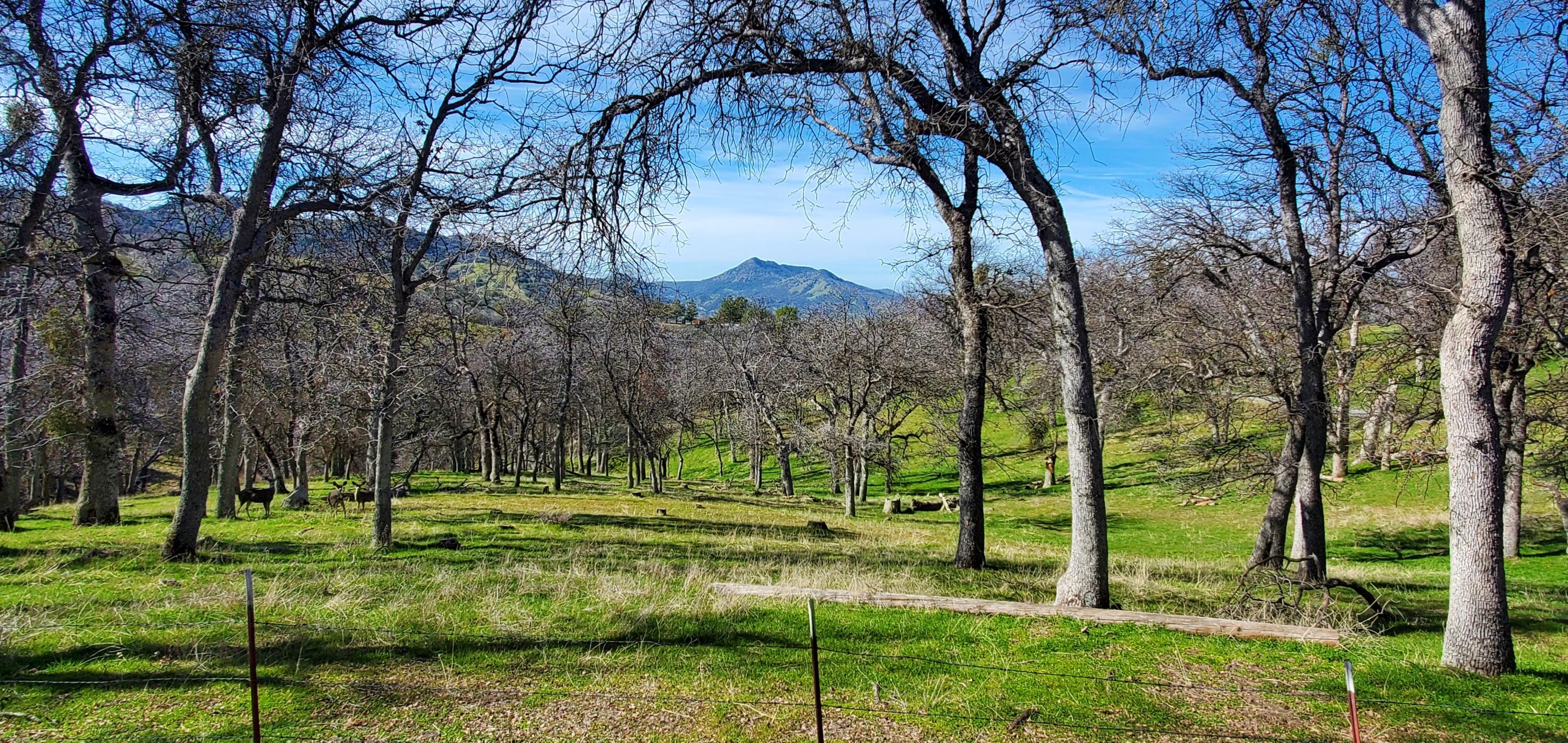 43717 Deer Creek Mill Rd, California Hot Springs, CA 93207