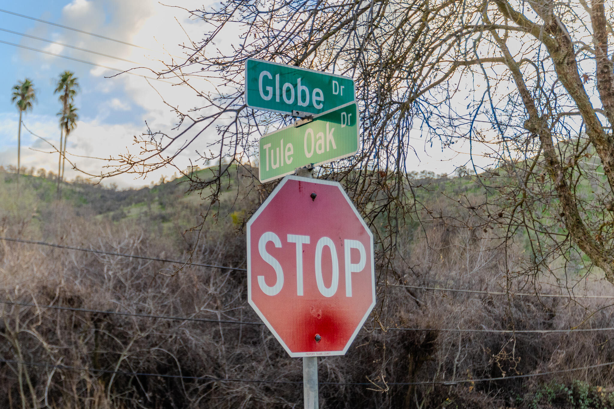 0 Tule Oak Dr, Springville, CA 93265