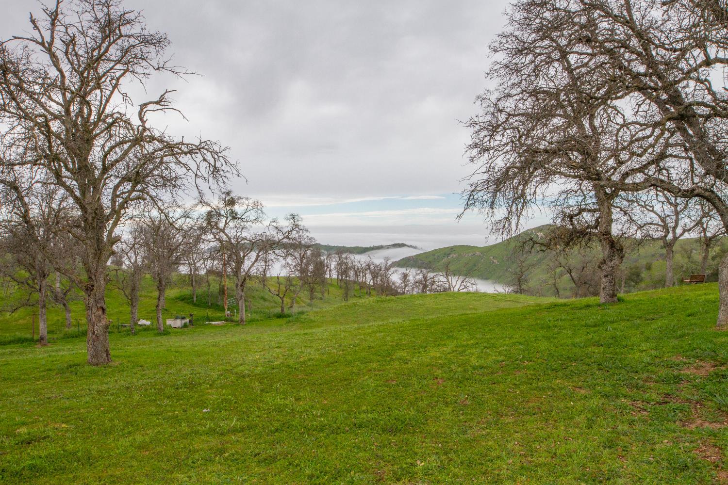 31602 Tumbleweed Ln, Yokuts Valley, CA 93675