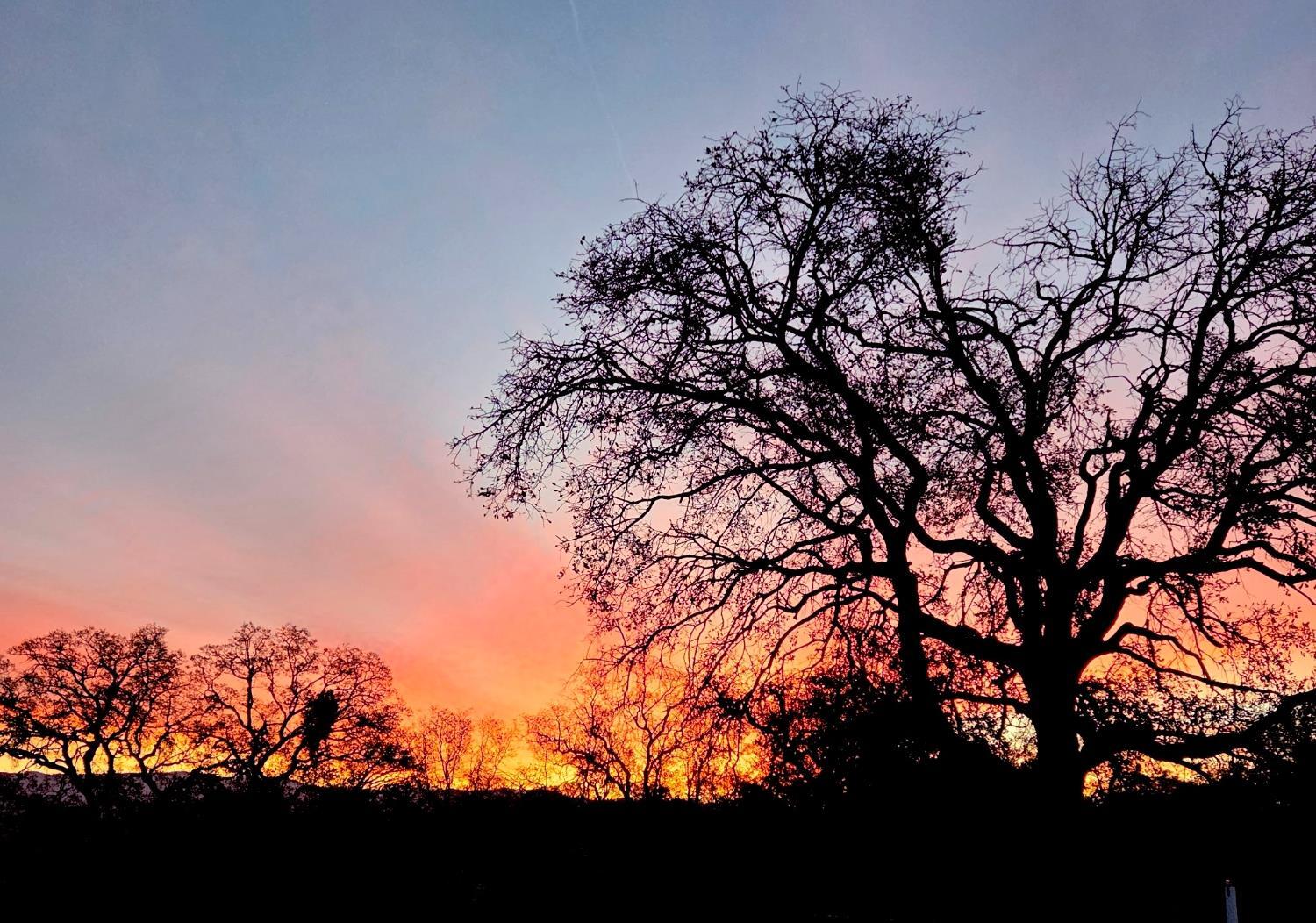 31602 Tumbleweed Ln, Yokuts Valley, CA 93675