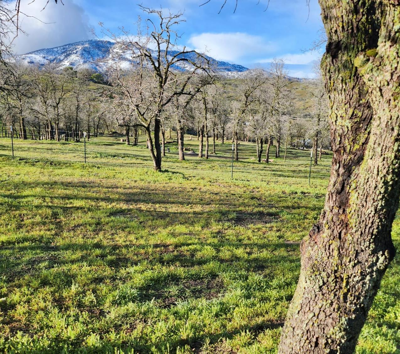 31602 Tumbleweed Ln, Yokuts Valley, CA 93675