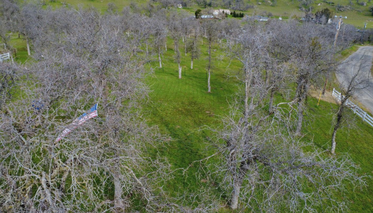 31602 Tumbleweed Ln, Yokuts Valley, CA 93675