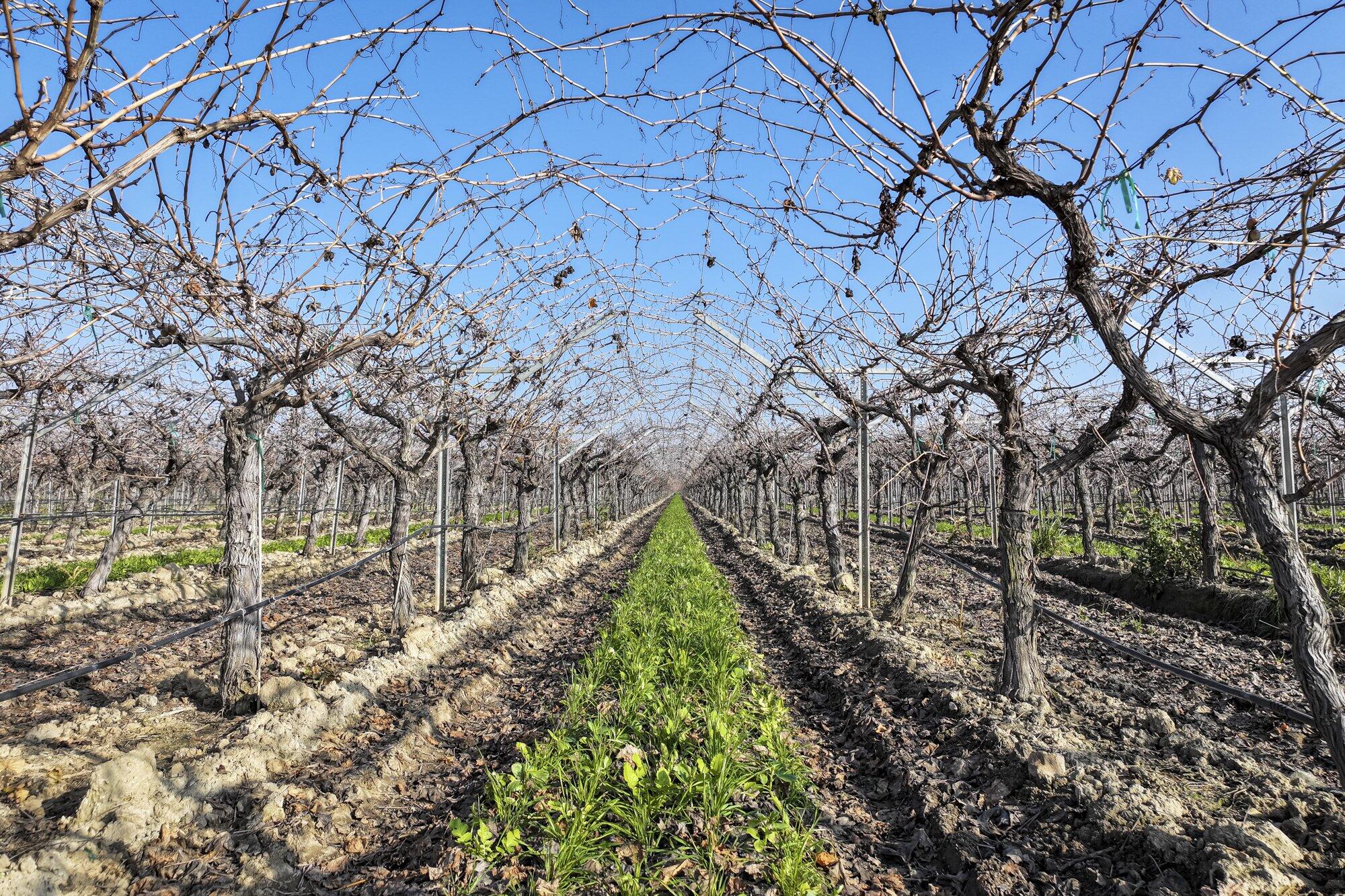 0 Avenue 56, Earlimart, CA 93219