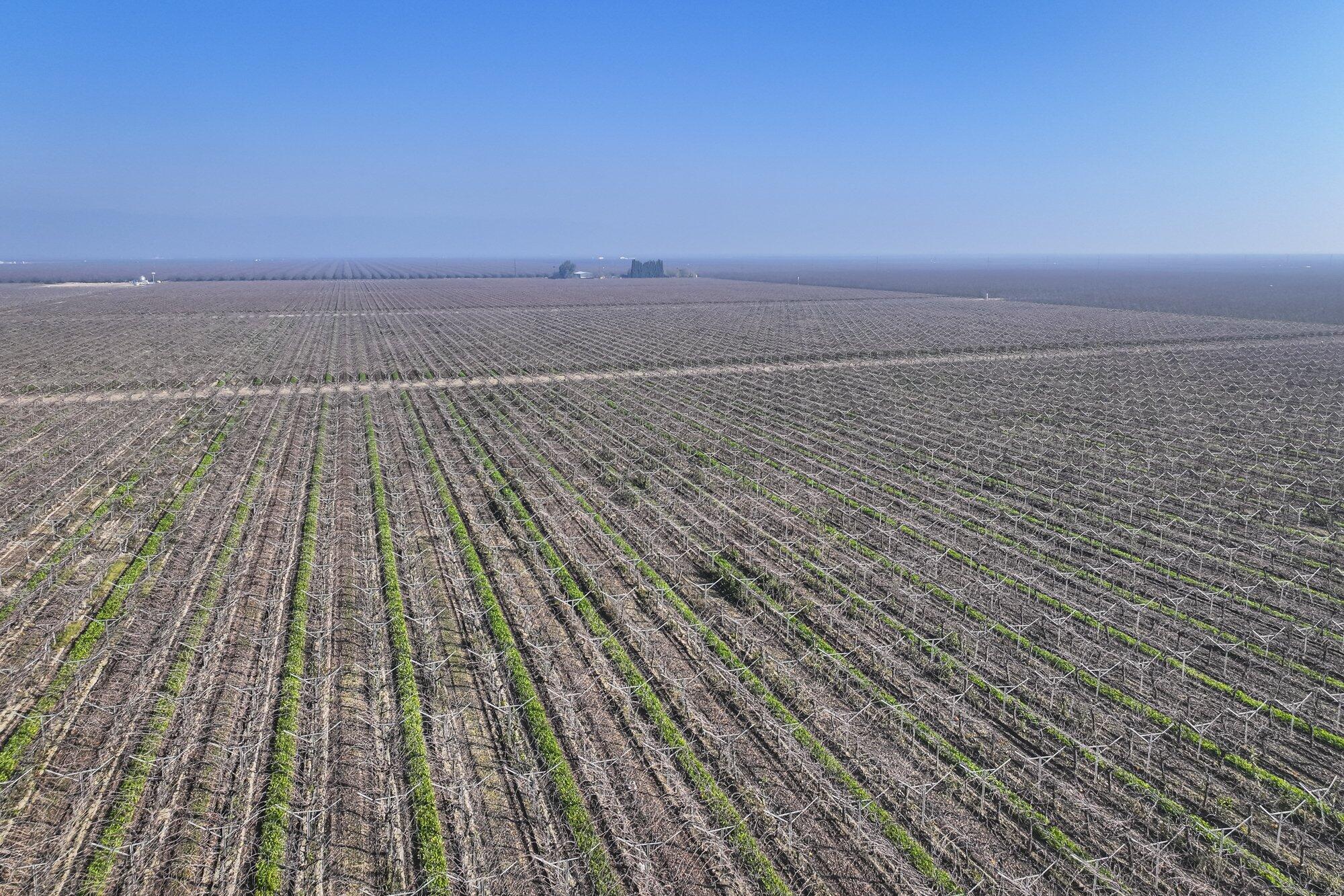 0 Avenue 56, Earlimart, CA 93219