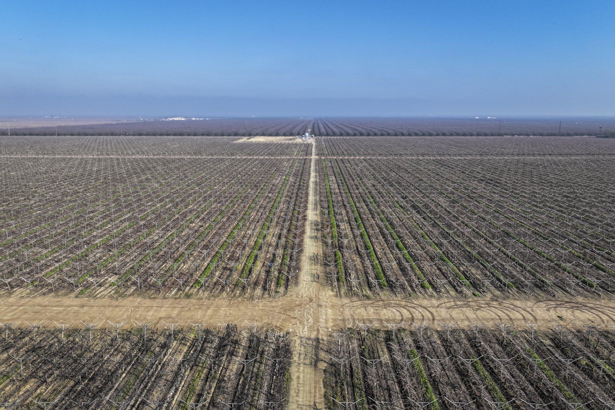 0 Avenue 56, Earlimart, CA 93219