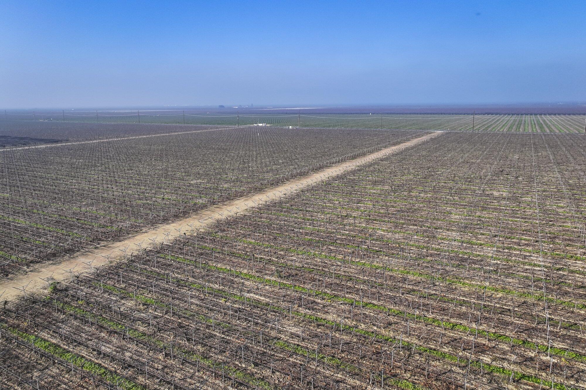 0 Avenue 56, Earlimart, CA 93219