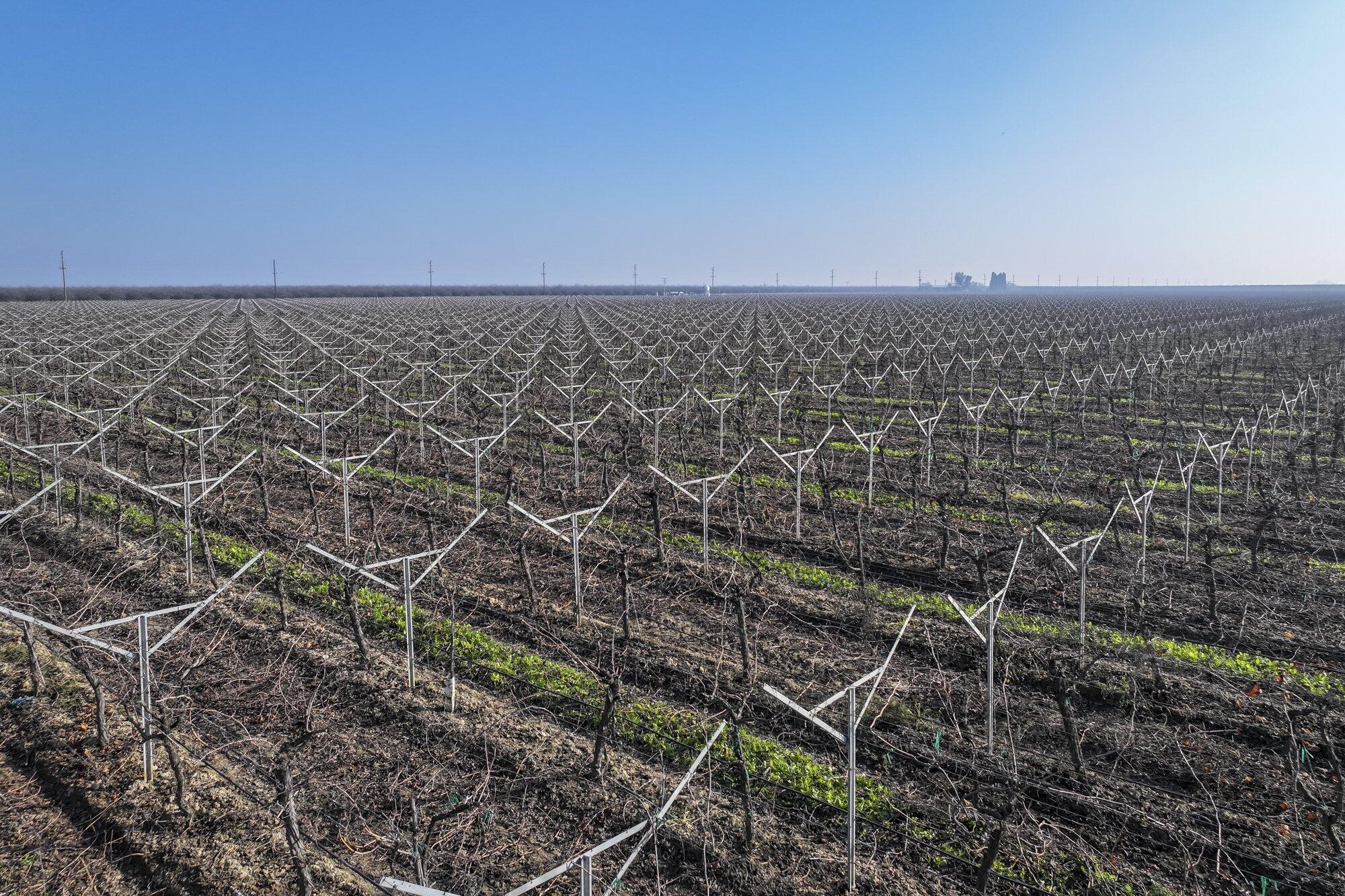 0 Avenue 56, Earlimart, CA 93219