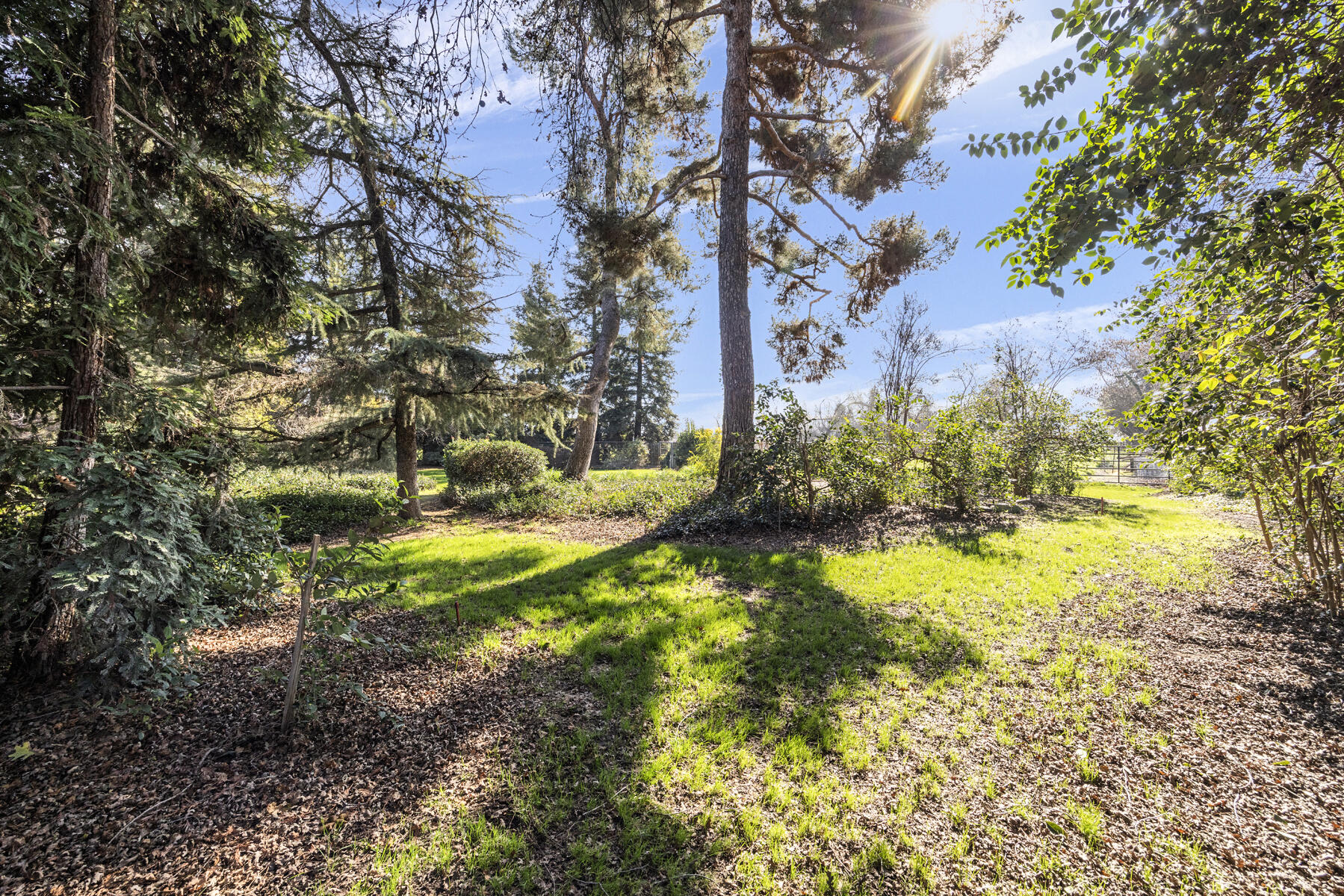 21487 Ave 332, Woodlake, CA 93286