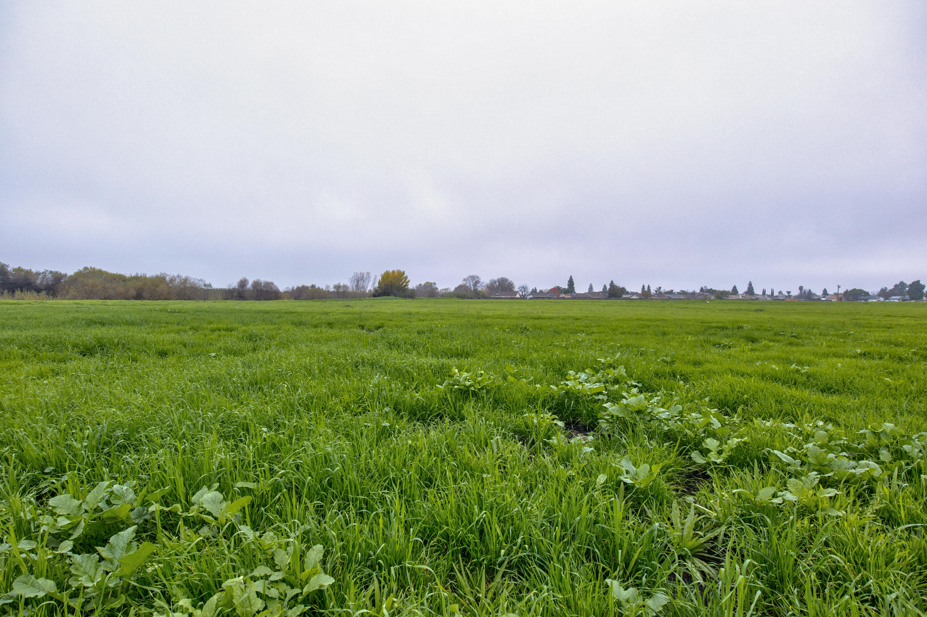 0 S Beverly St, Porterville, CA 93257