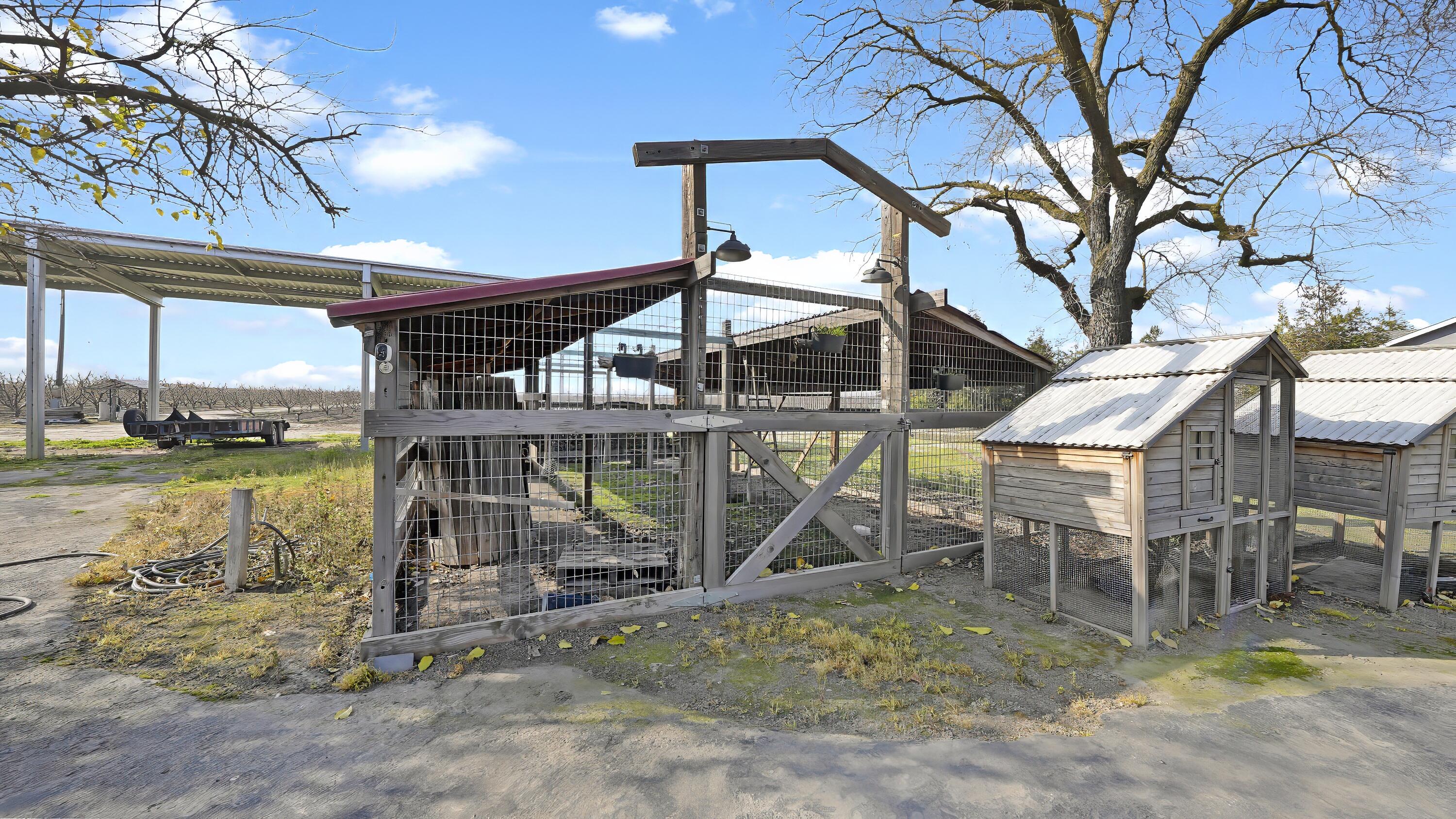 41709 Road 52, Reedley, CA 93654