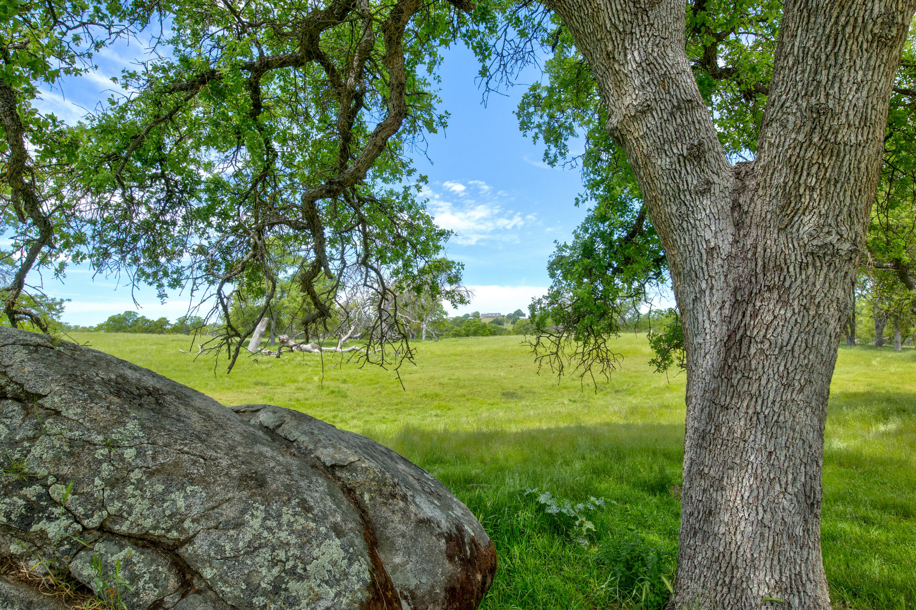 1985 White Rock Rd, Le Grand, CA 95333