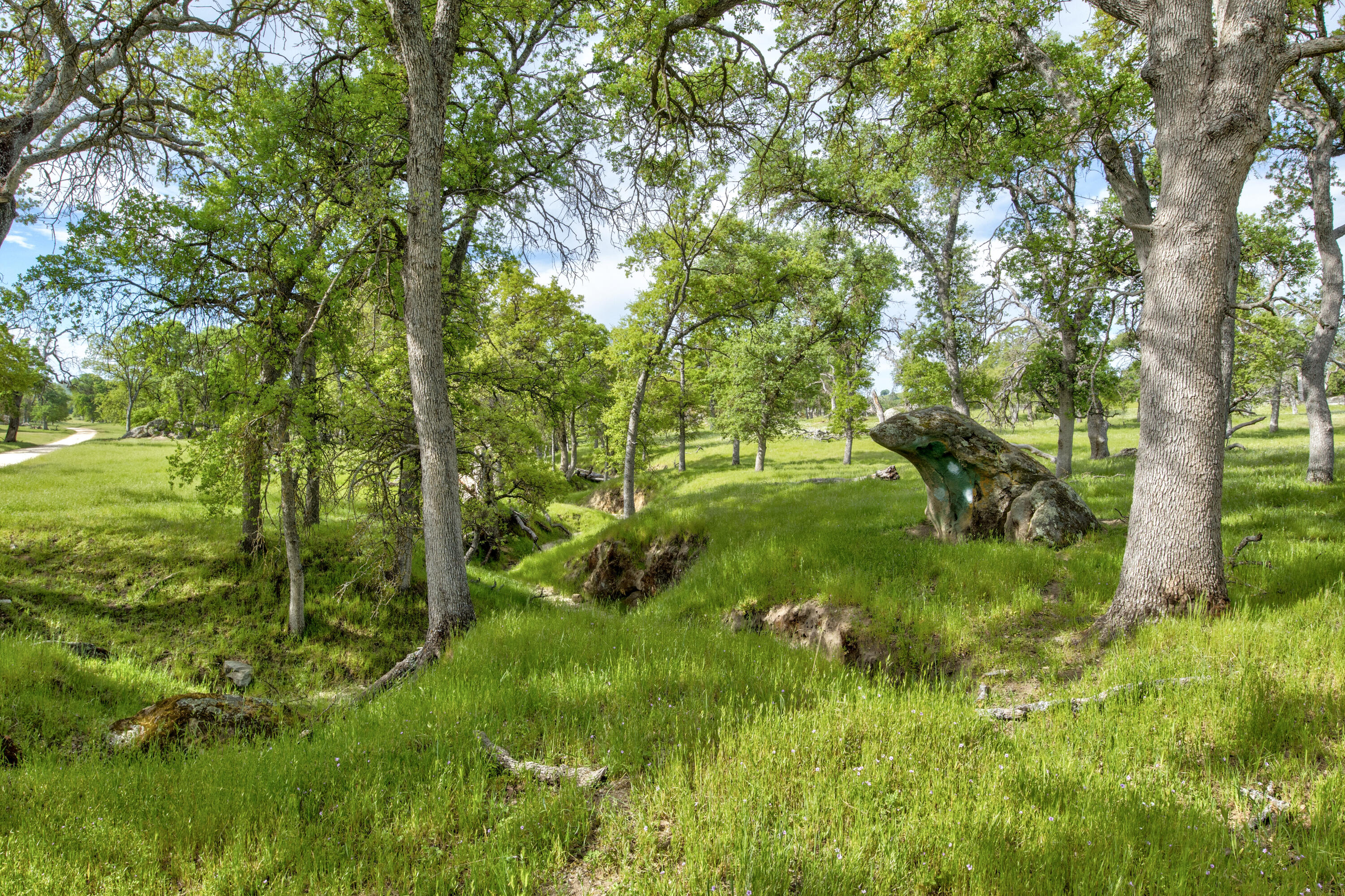 1985 White Rock Rd, Le Grand, CA 95333