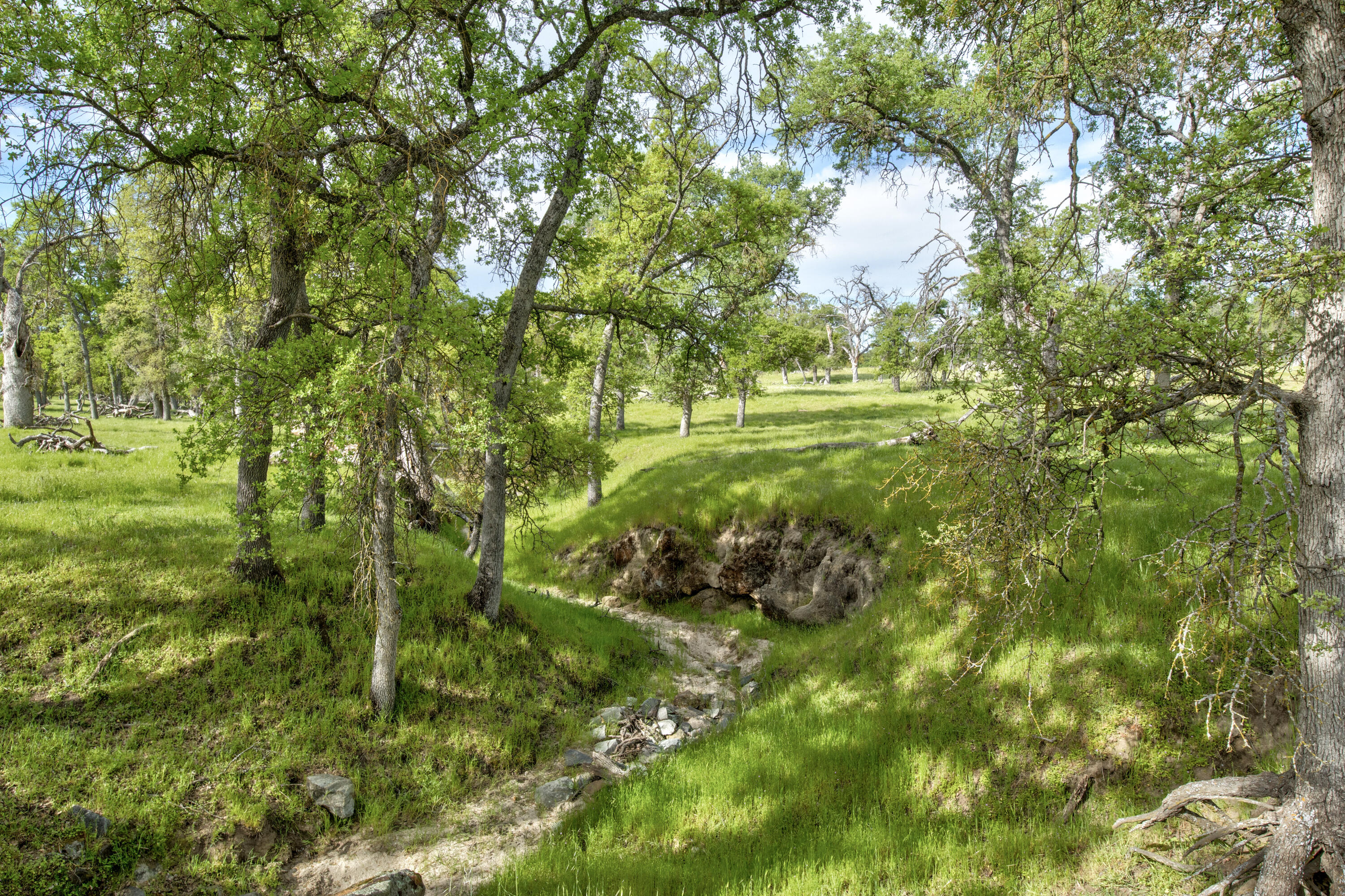 1985 White Rock Rd, Le Grand, CA 95333