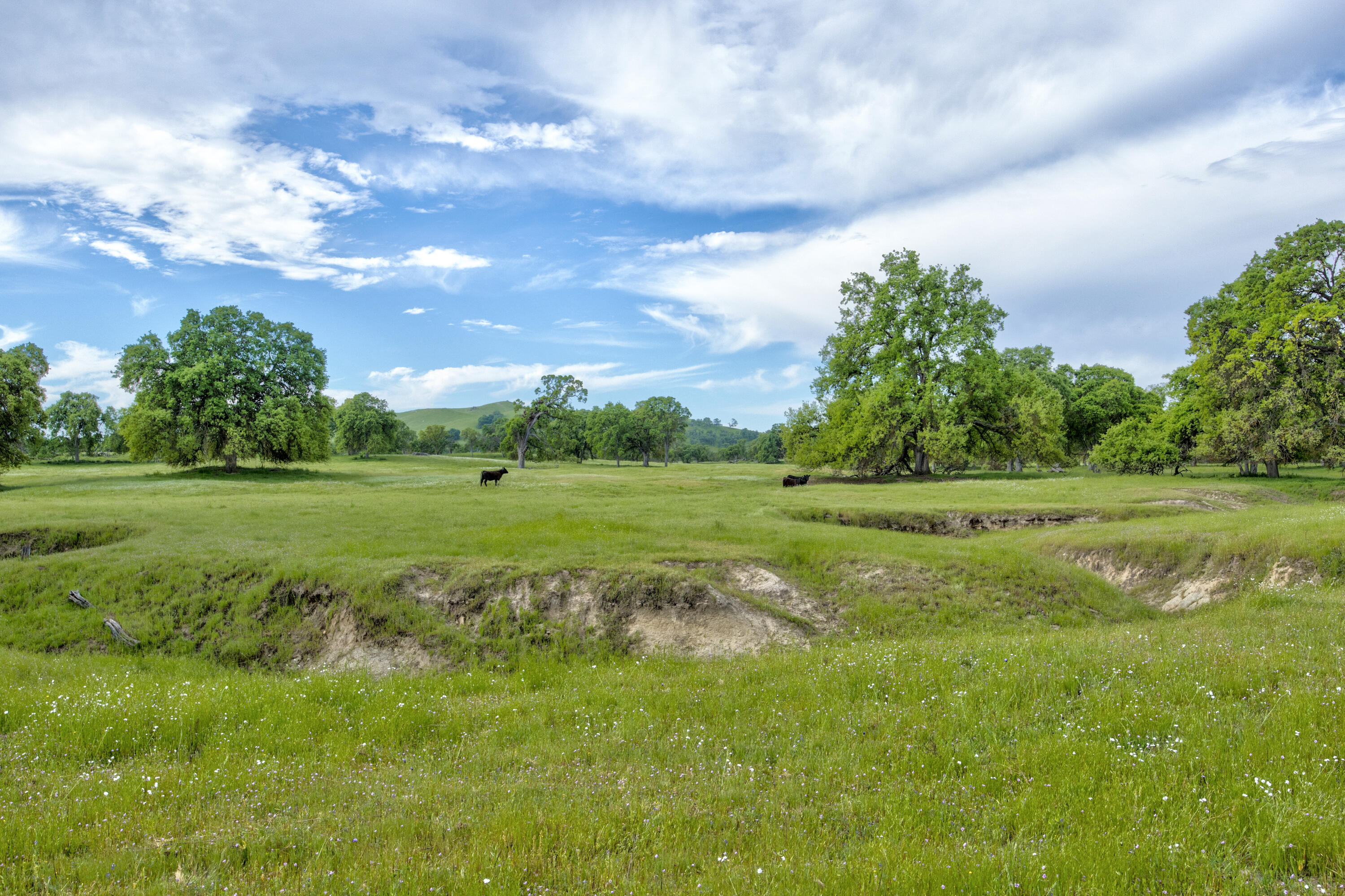 1985 White Rock Rd, Le Grand, CA 95333