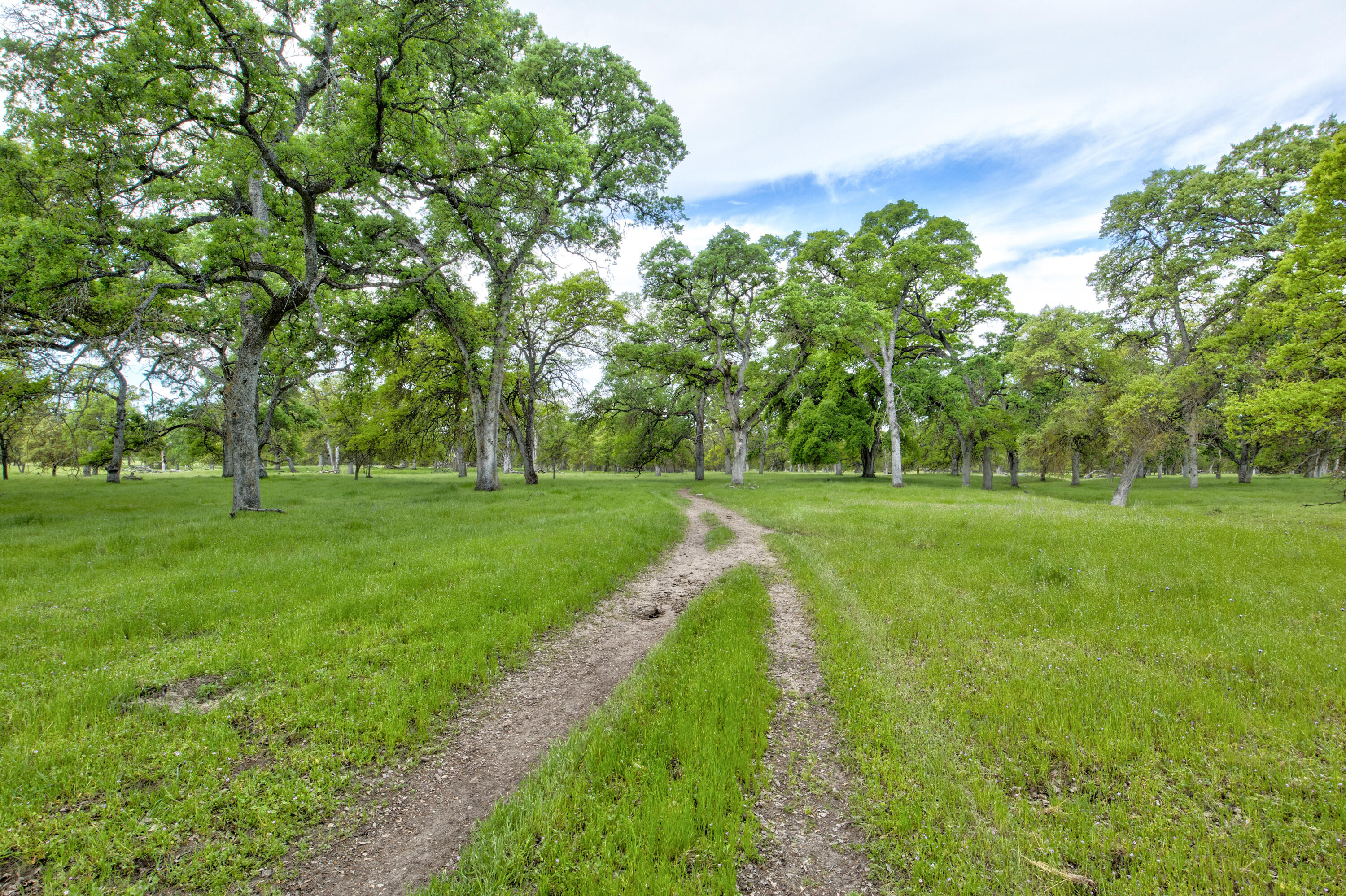 1985 White Rock Rd, Le Grand, CA 95333