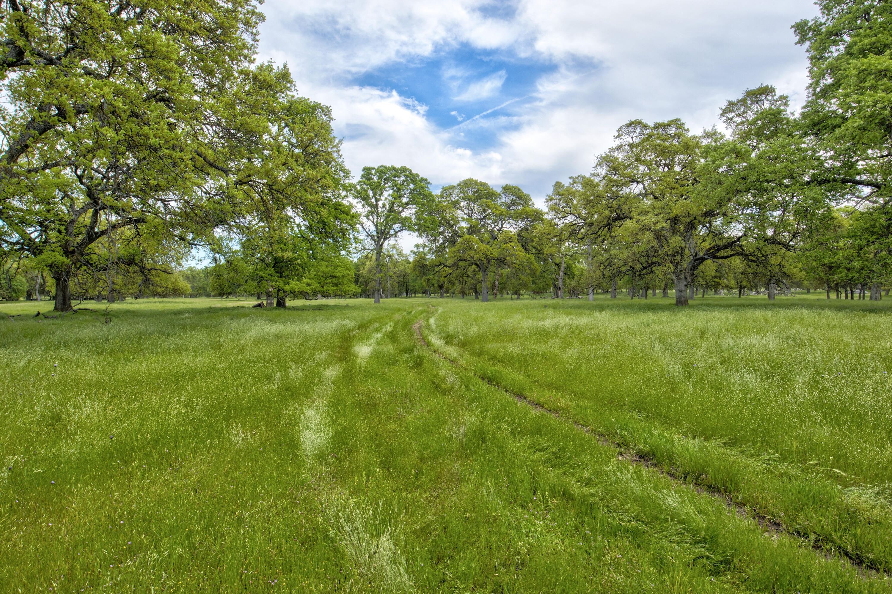 1985 White Rock Rd, Le Grand, CA 95333