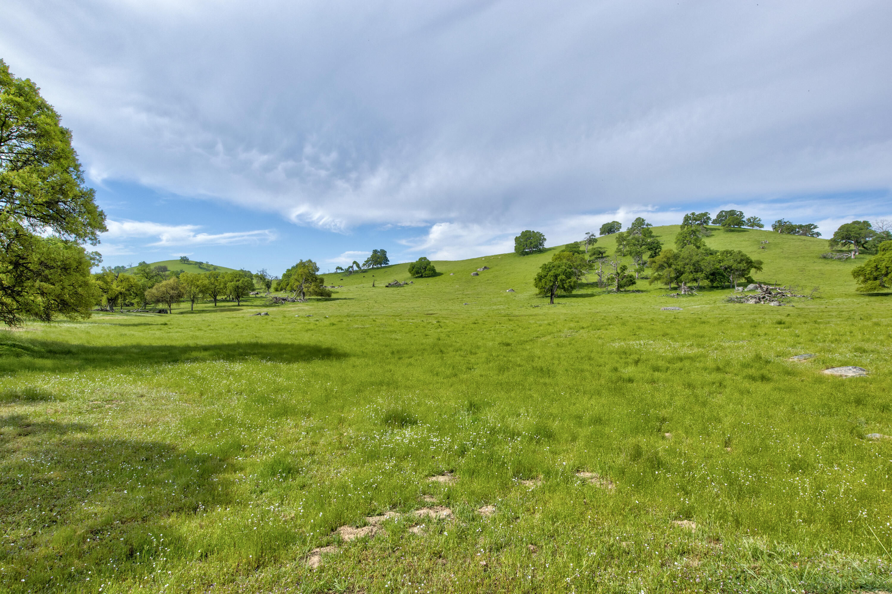 1985 White Rock Rd, Le Grand, CA 95333