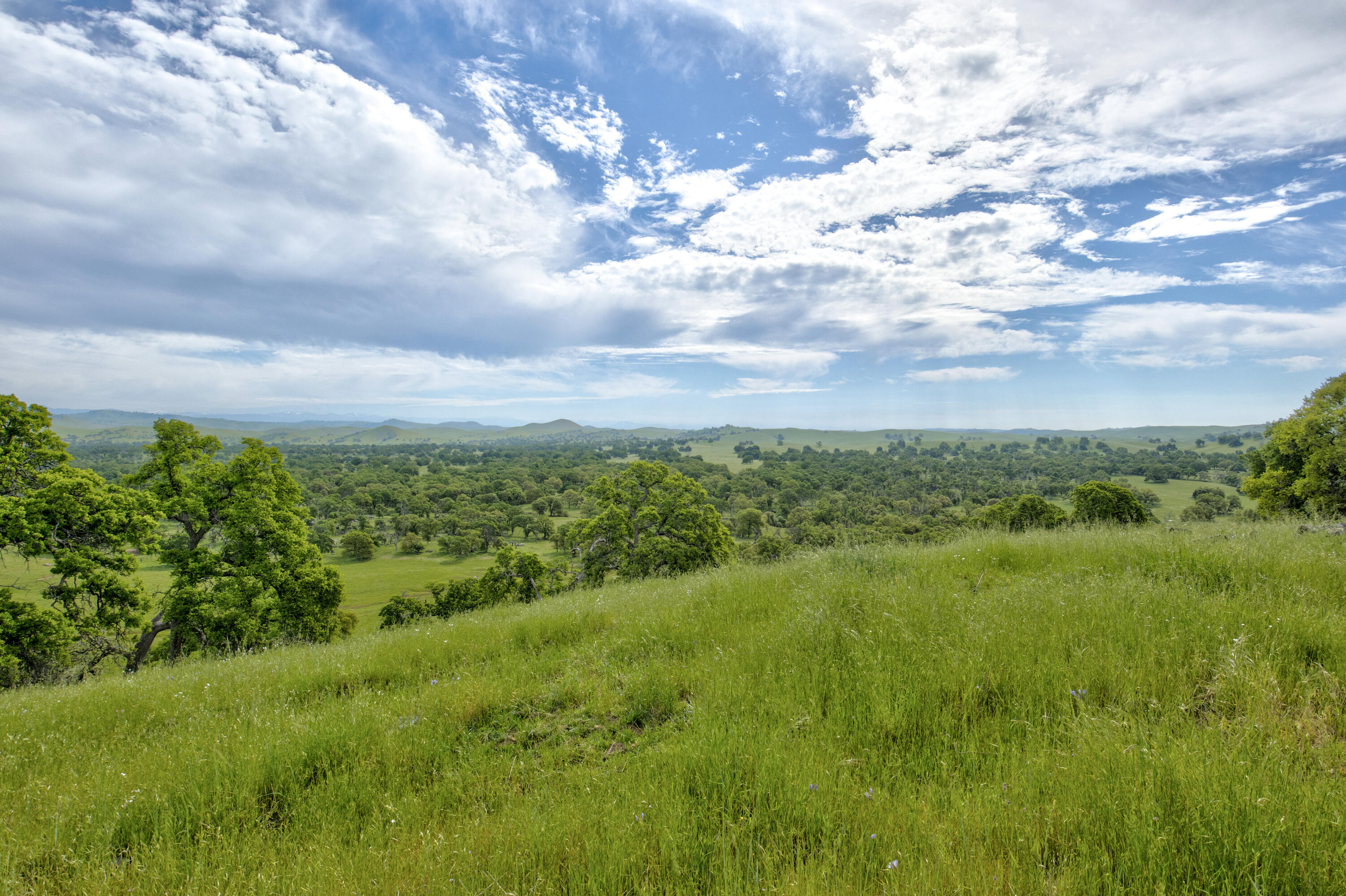 1985 White Rock Rd, Le Grand, CA 95333