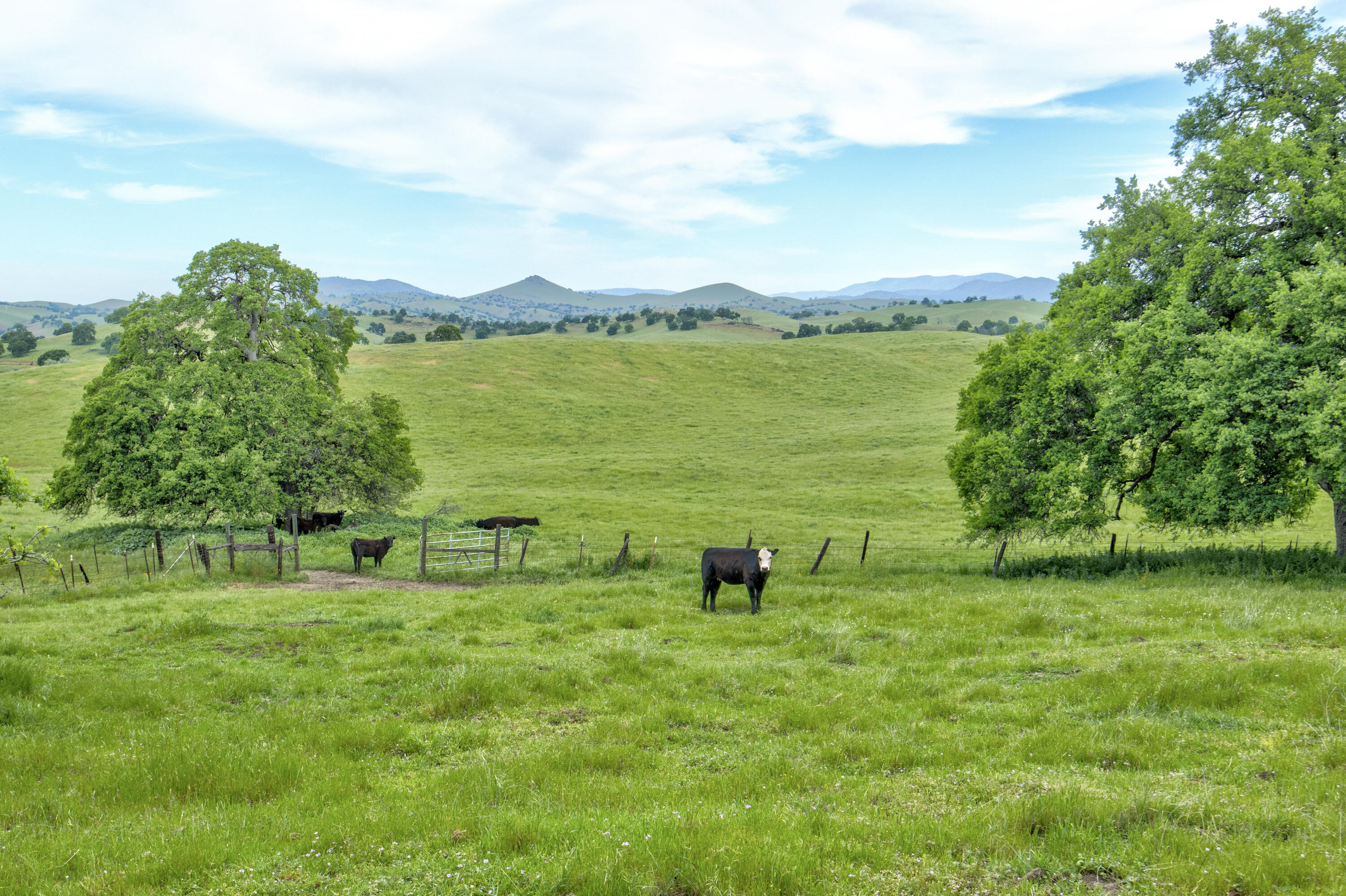 1985 White Rock Rd, Le Grand, CA 95333