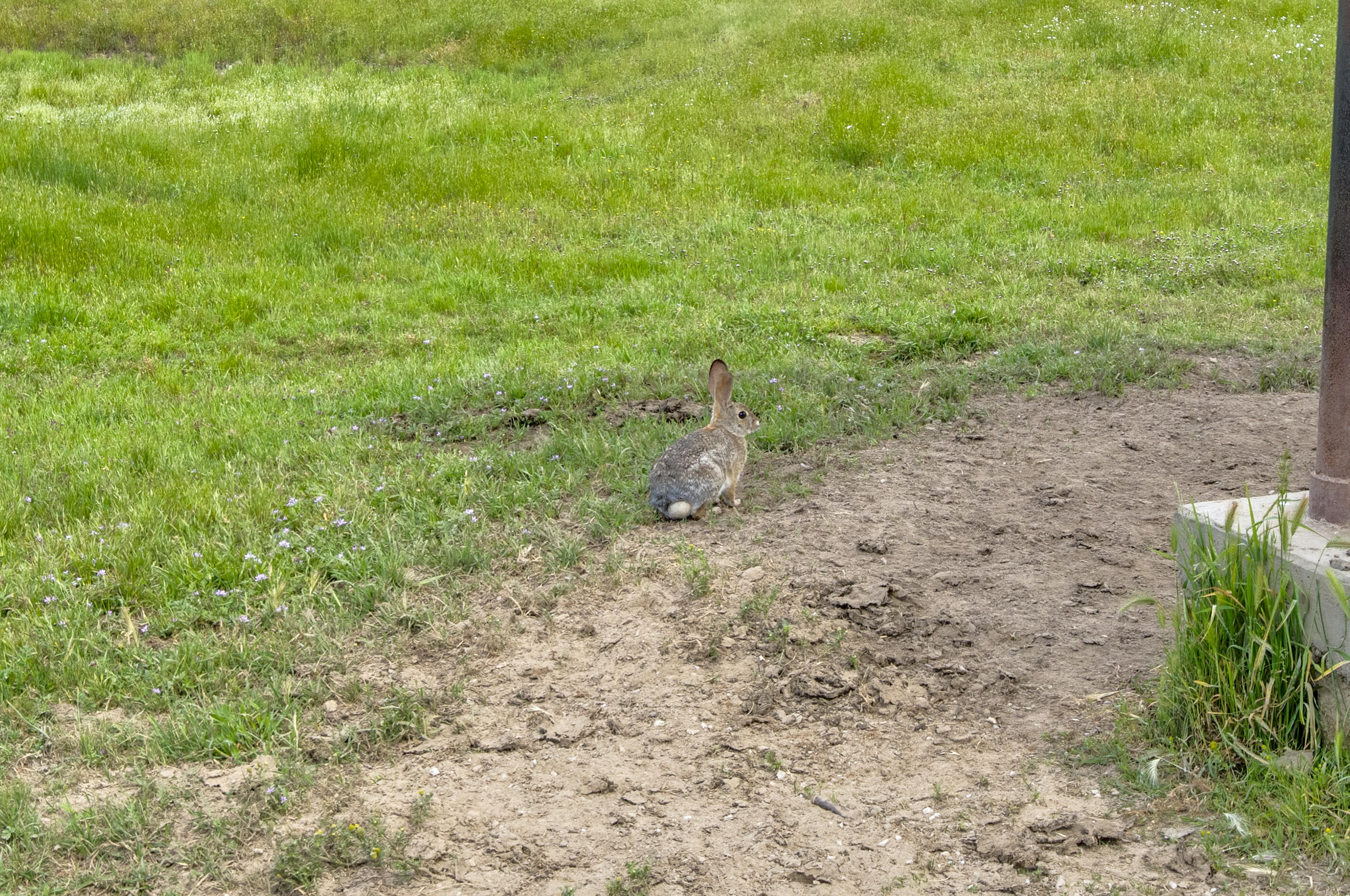 1985 White Rock Rd, Le Grand, CA 95333