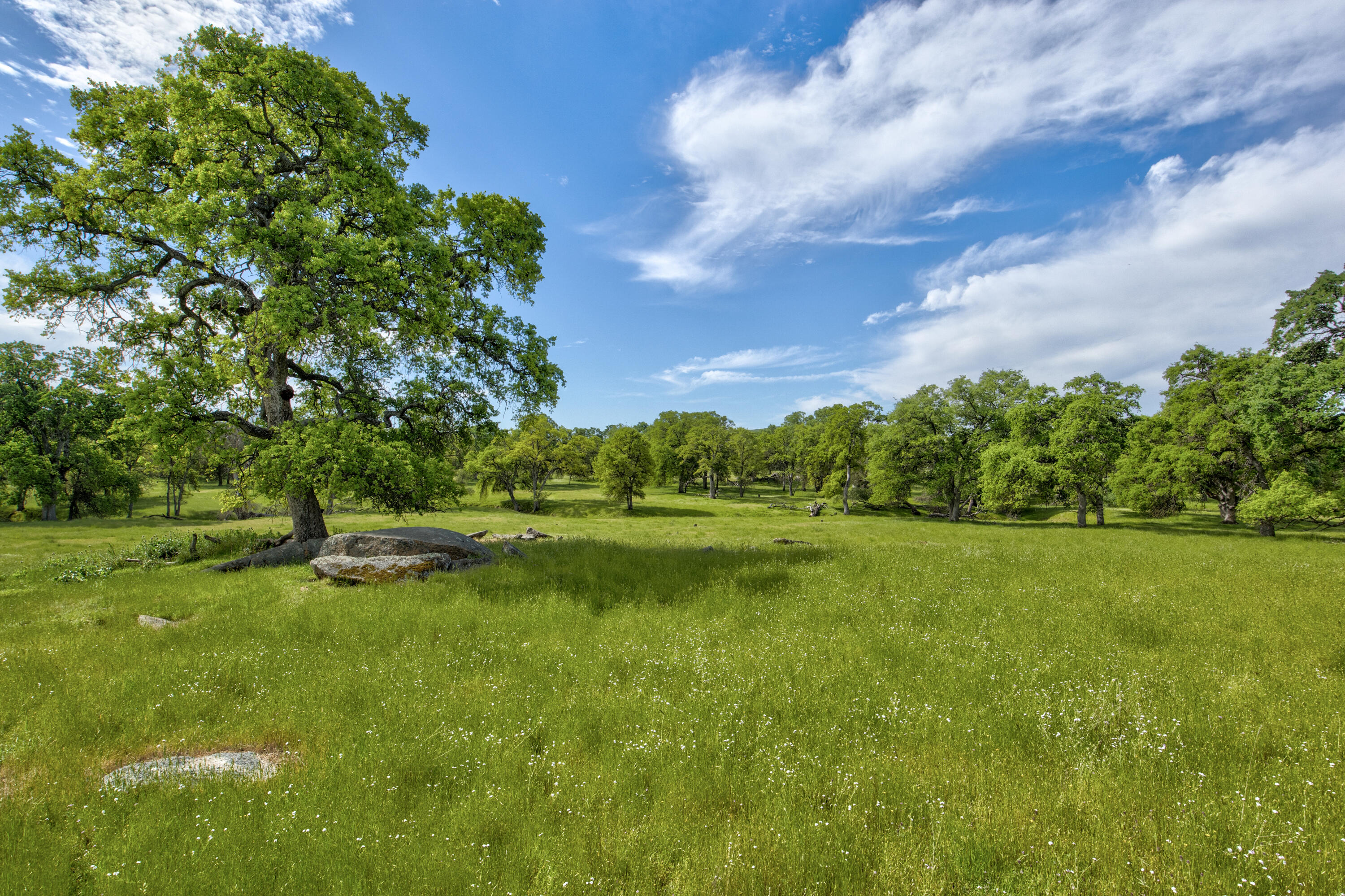 1985 White Rock Rd, Le Grand, CA 95333