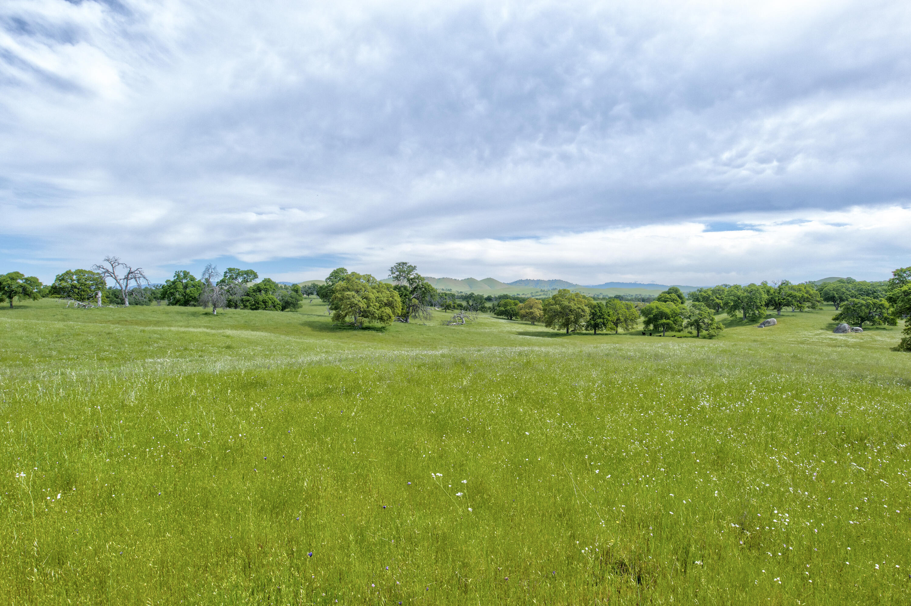 1985 White Rock Rd, Le Grand, CA 95333