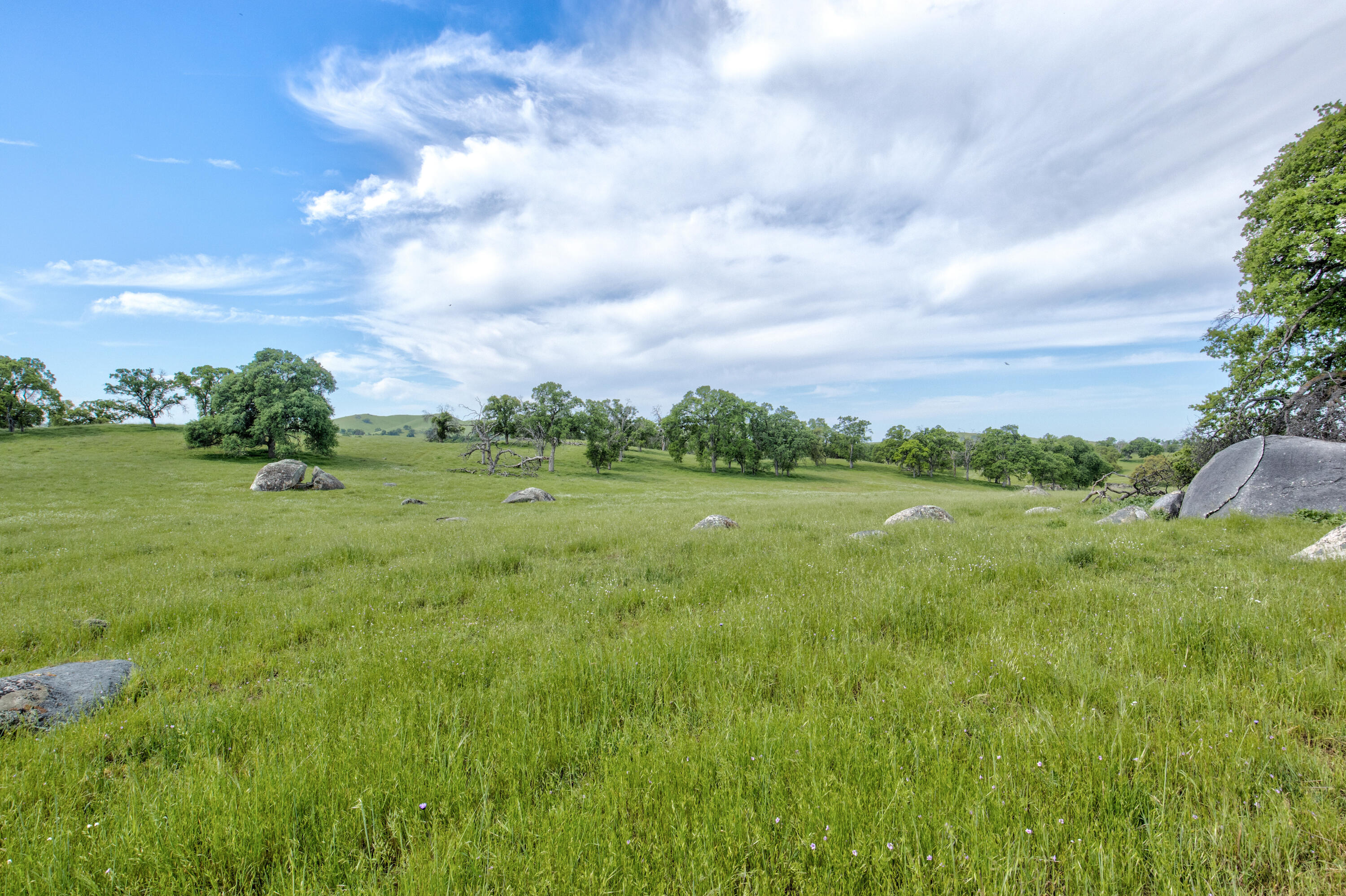 1985 White Rock Rd, Le Grand, CA 95333