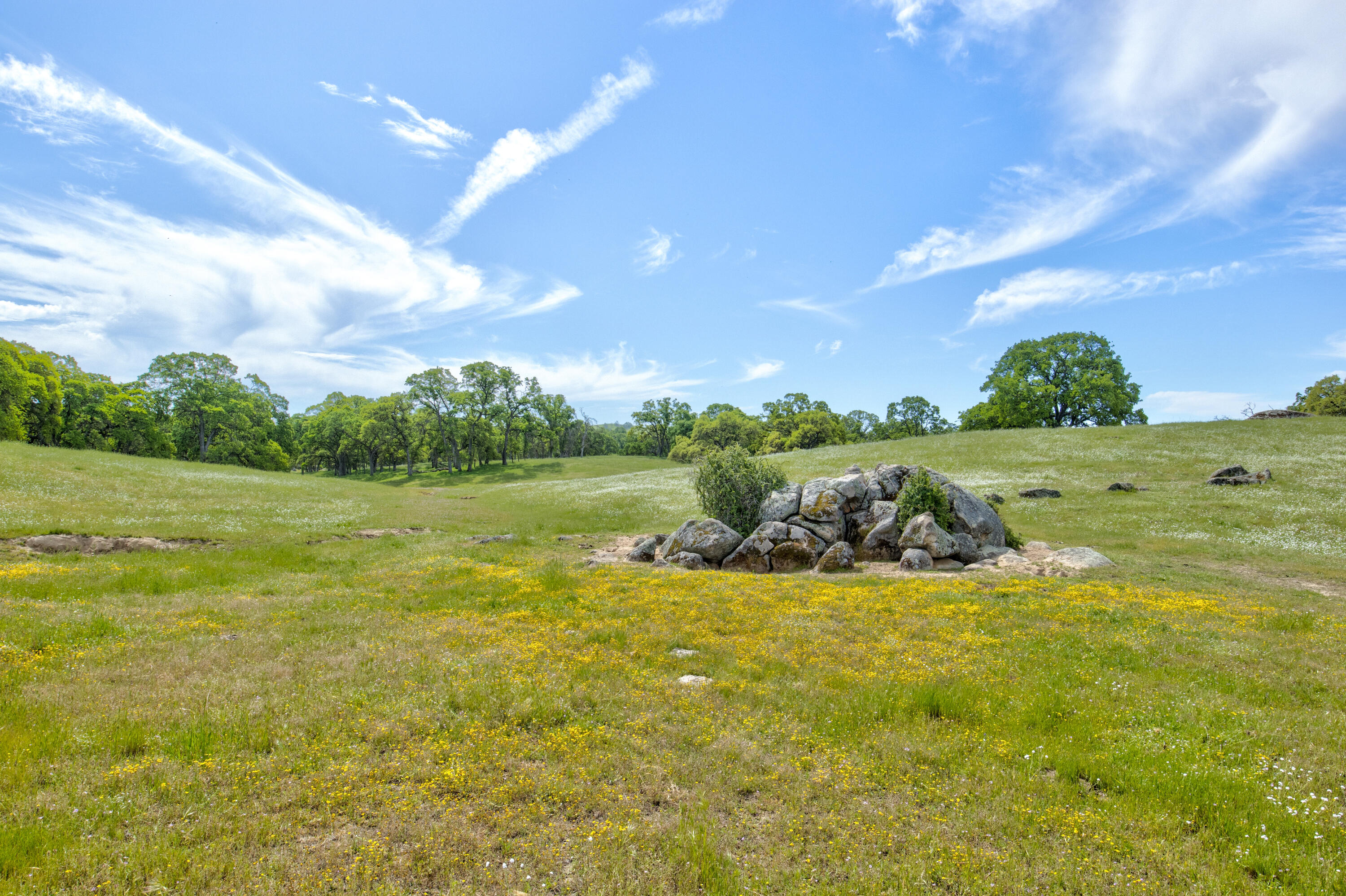 1985 White Rock Rd, Le Grand, CA 95333