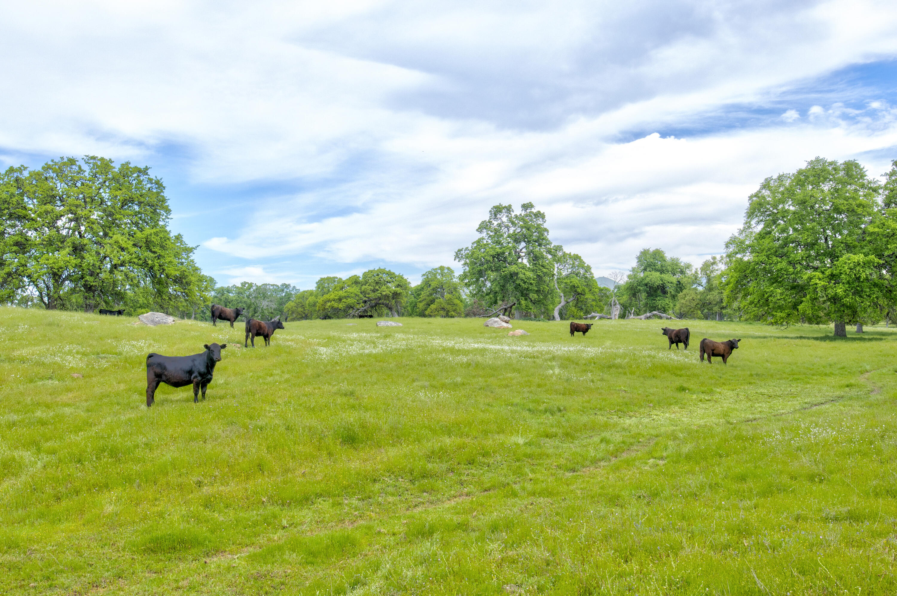 1985 White Rock Rd, Le Grand, CA 95333