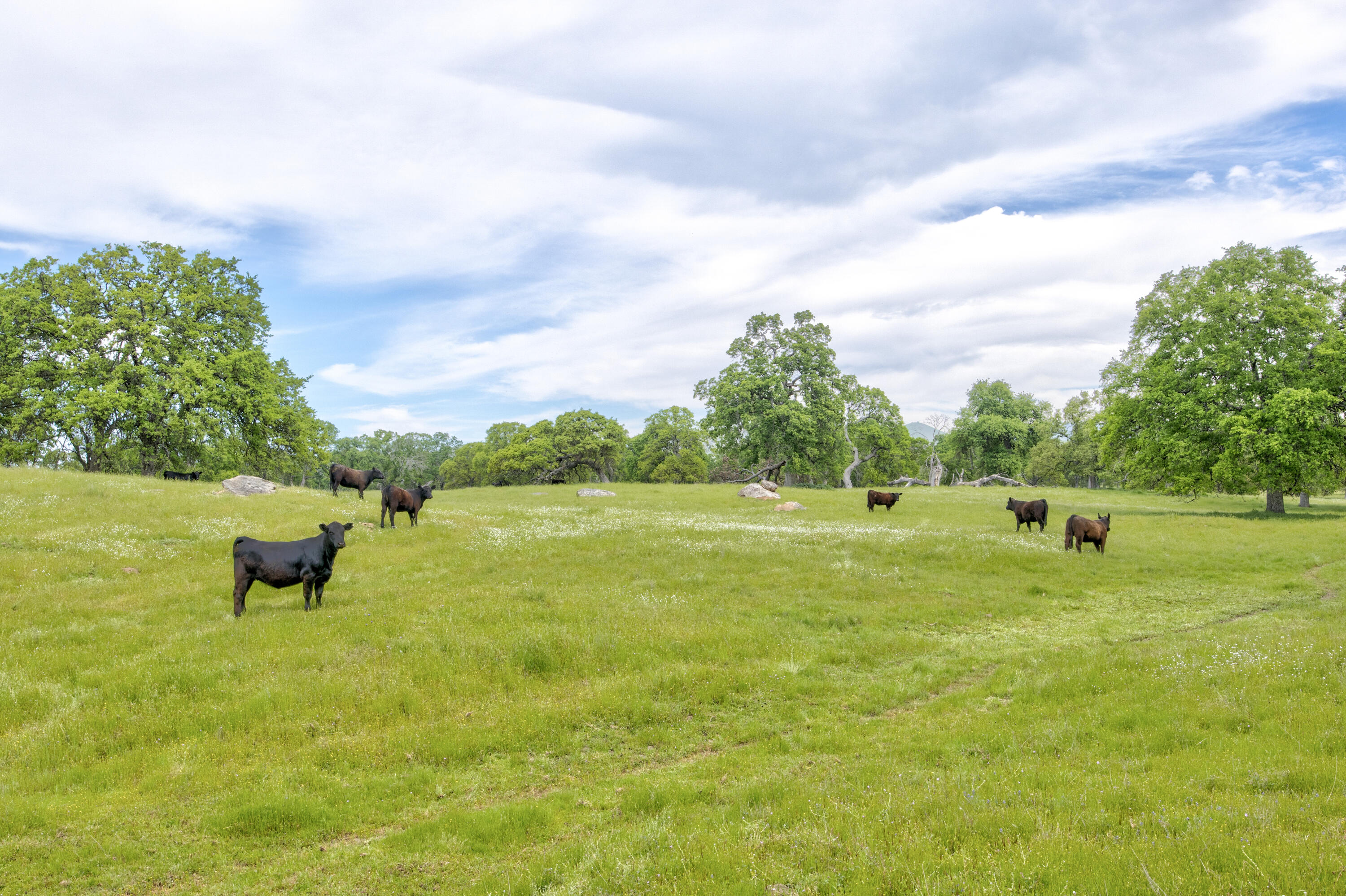 1985 White Rock Rd, Le Grand, CA 95333